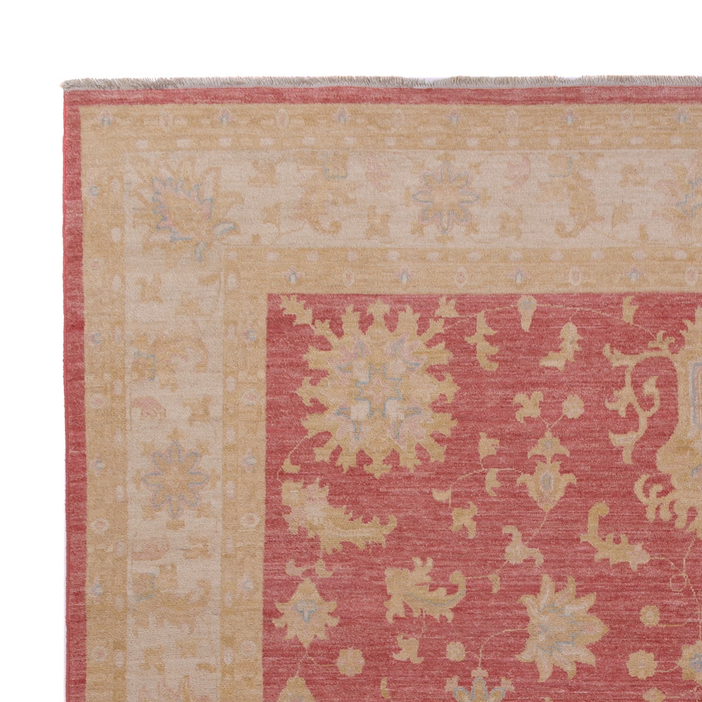 Tapis Ziegler 256x367cm - Tapis oriental