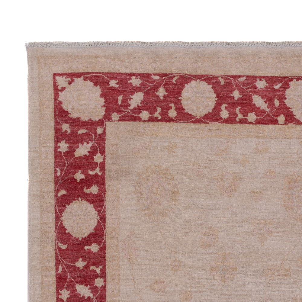 Ziegler Teppich - 302 x 203 cm - beige