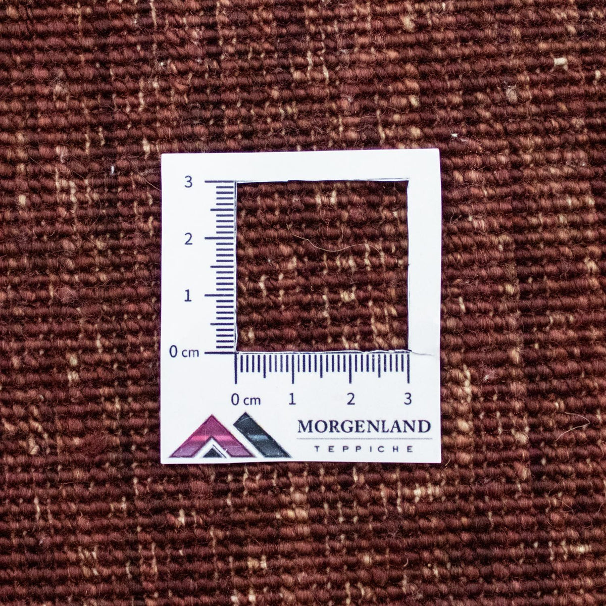 Tapis Ziegler - 237 x 172 cm - colorée