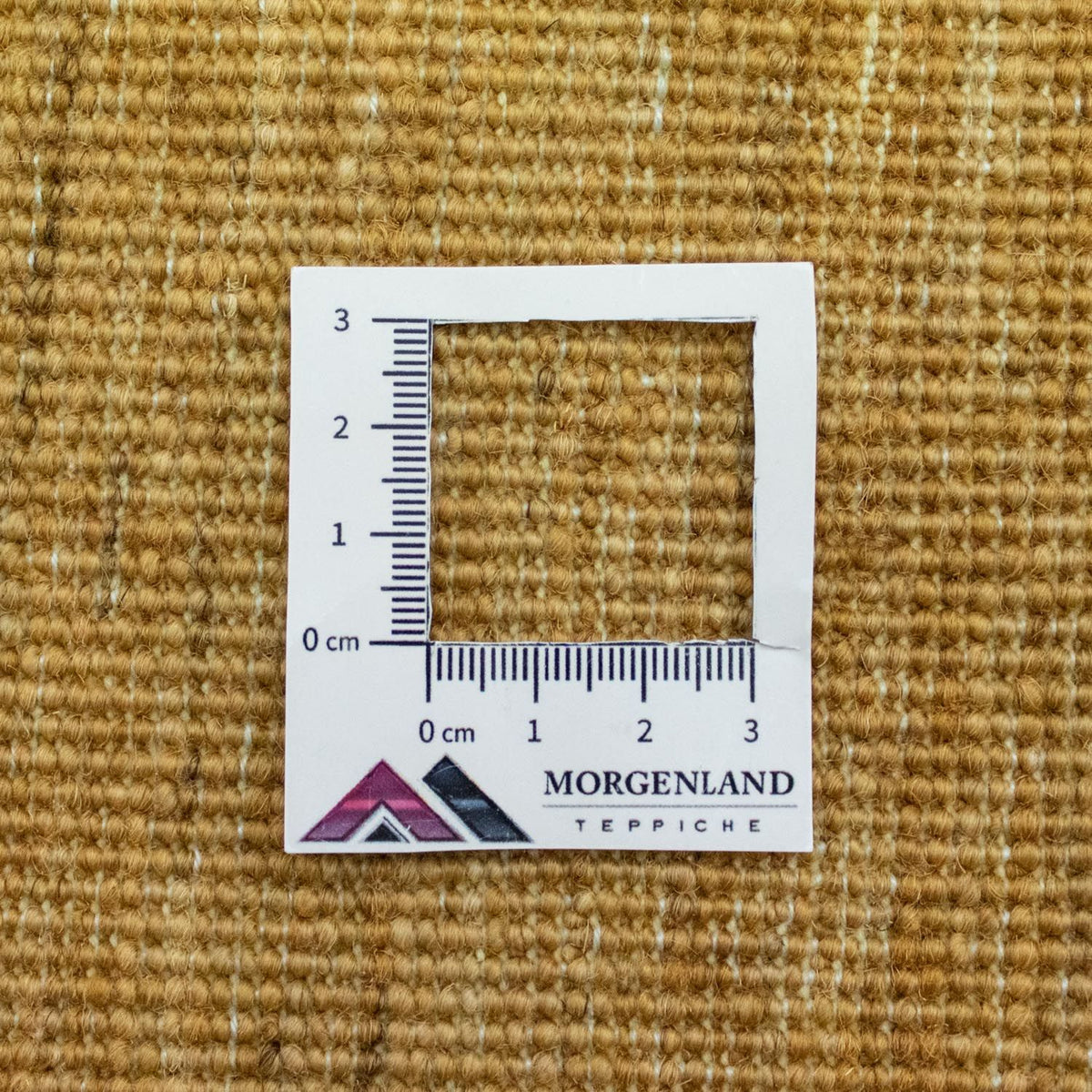 Tapis Ziegler - 207 x 150 cm - colorée