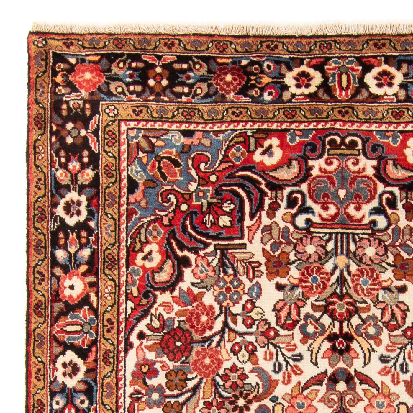 Borchalou Tapis 244x154cm - Tapis persan