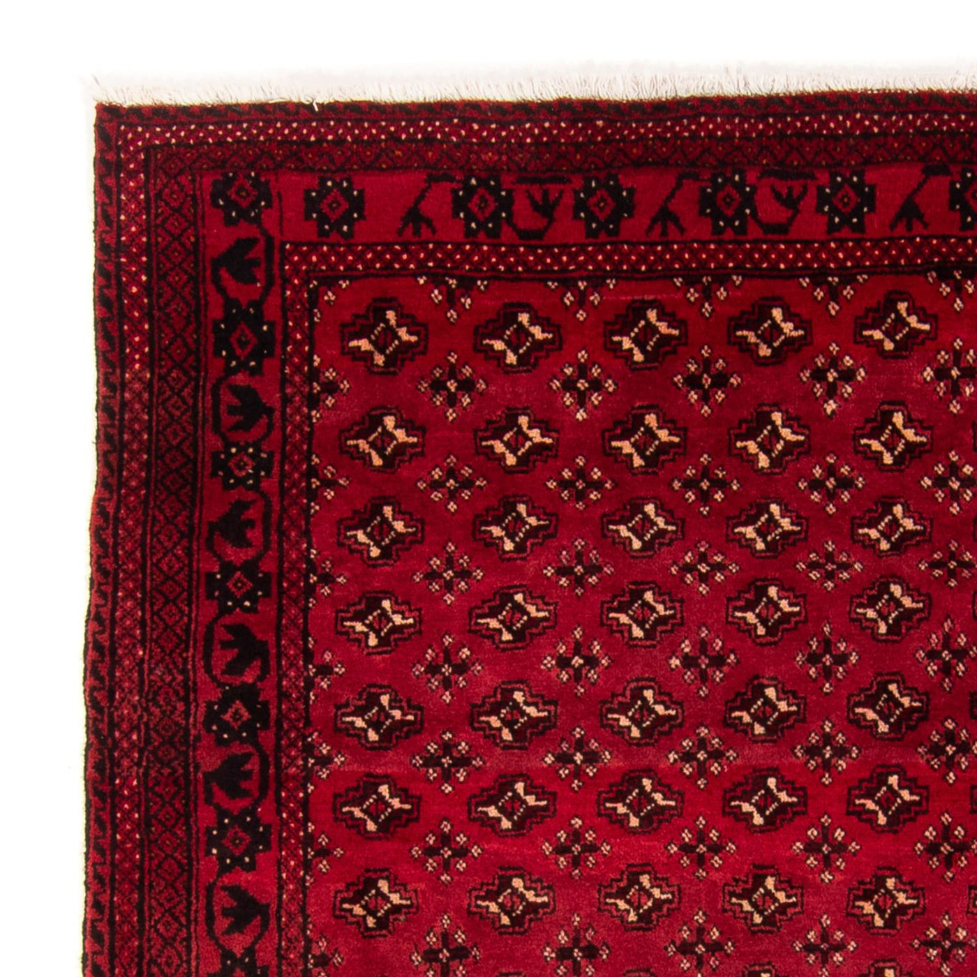Tapis Turkaman 239x130cm - Tapis persan