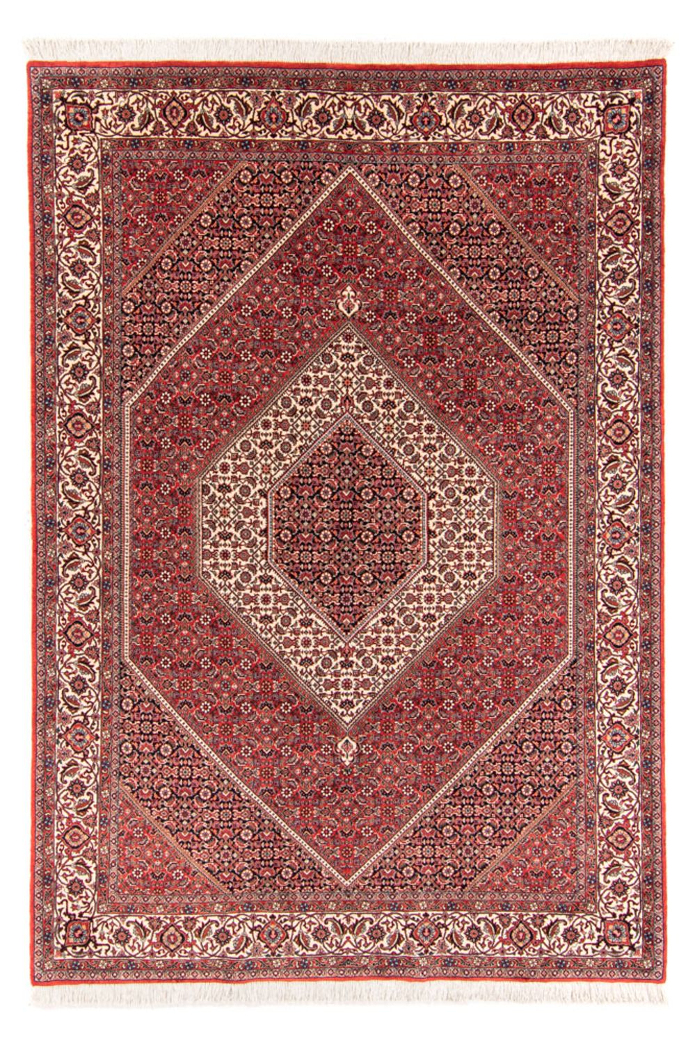 Tapis persan - Bidjar - 252 x 174 cm - rouge