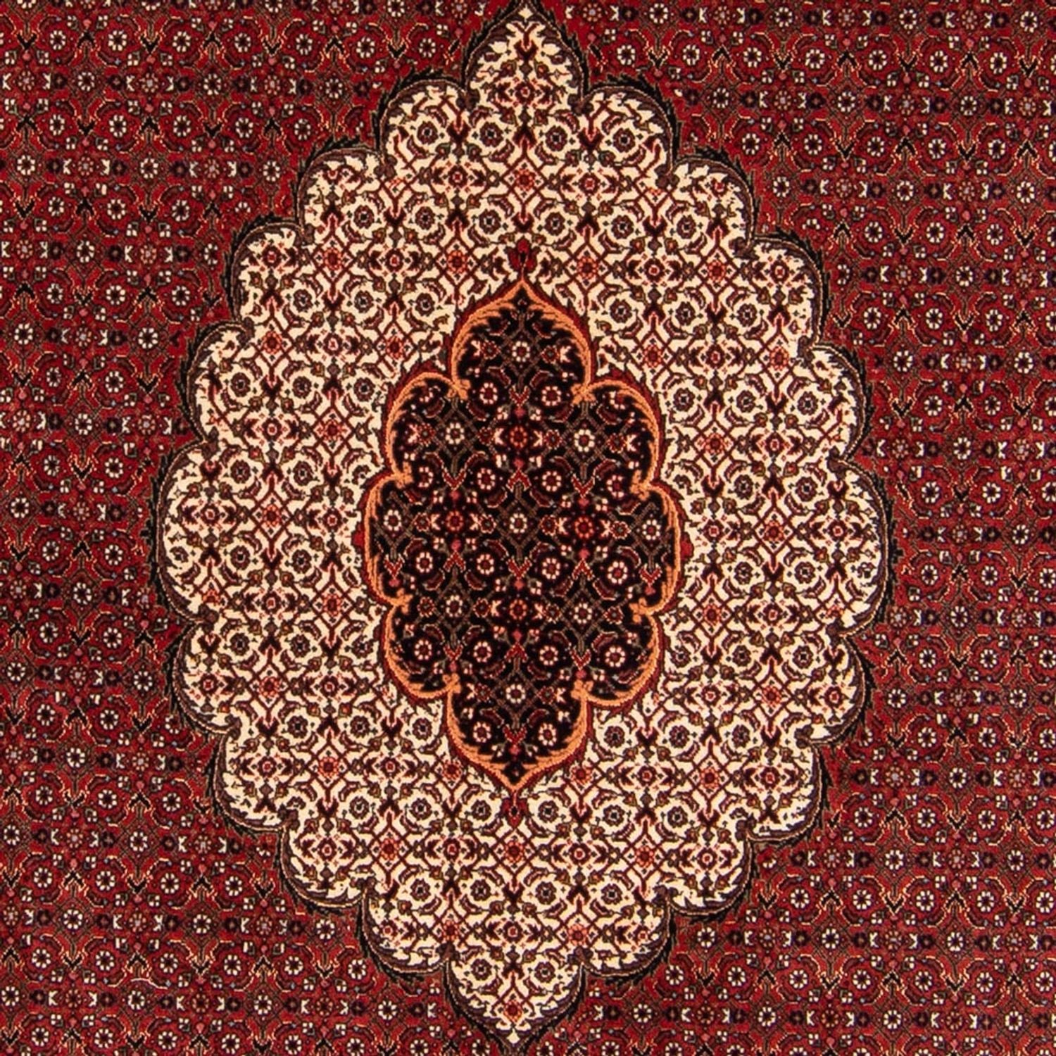 Tapis persan - Bidjar - 234 x 168 cm - rouge