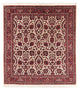 Bidjar - Takab Tapis 159x153cm - Tapis persan