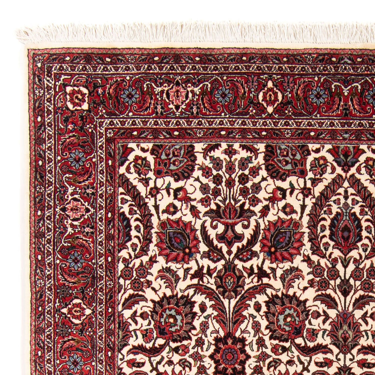 Tapis persan - Bidjar - 159 x 153 cm - beige