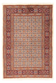 Tapis de Moud Tapis 101x152cm - Tapis persan