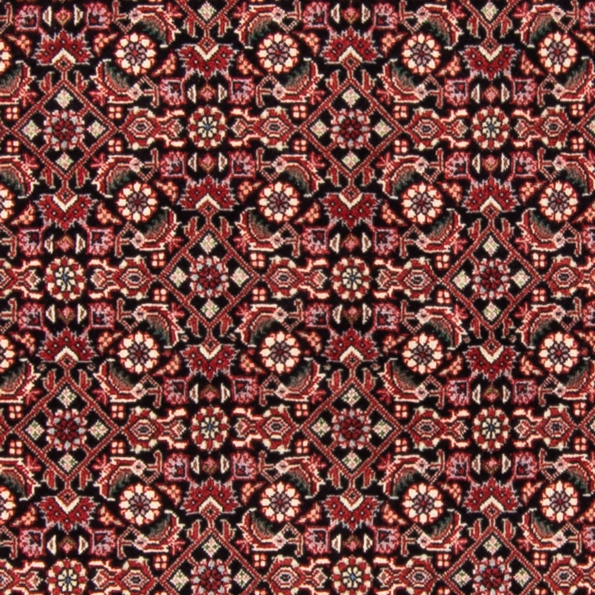 Tapis persan - Bidjar - 163 x 111 cm - bleu foncé