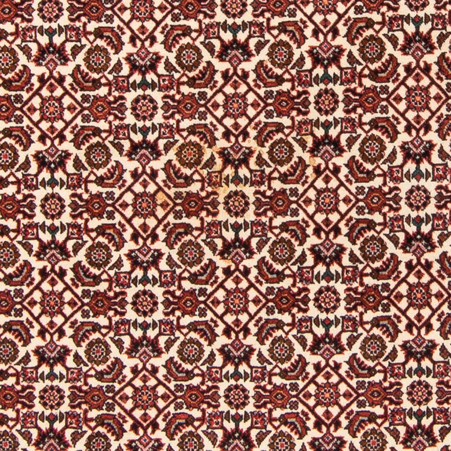 Tapis persan - Bidjar - 181 x 110 cm - beige