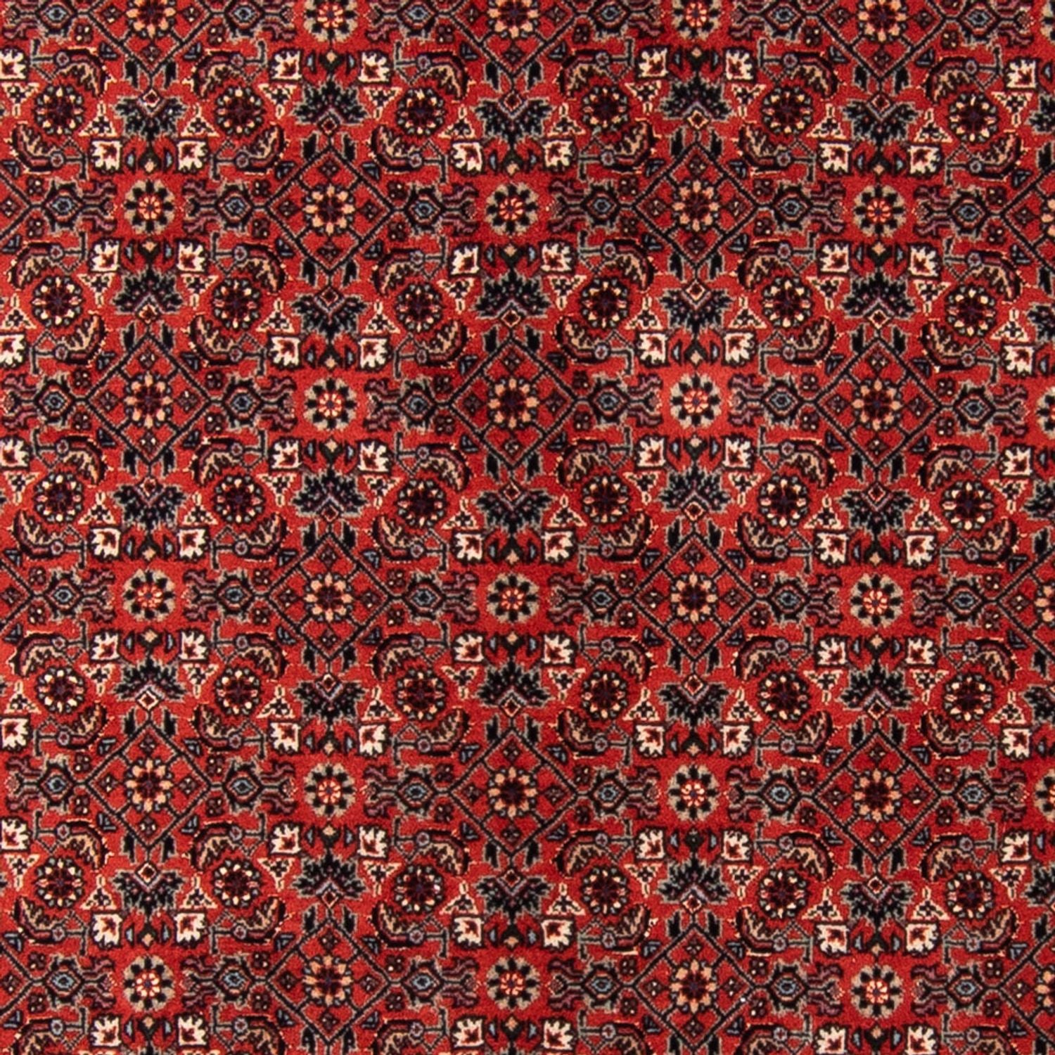Tapis de couloir Tapis persan - Bidjar - 205 x 102 cm - rouge
