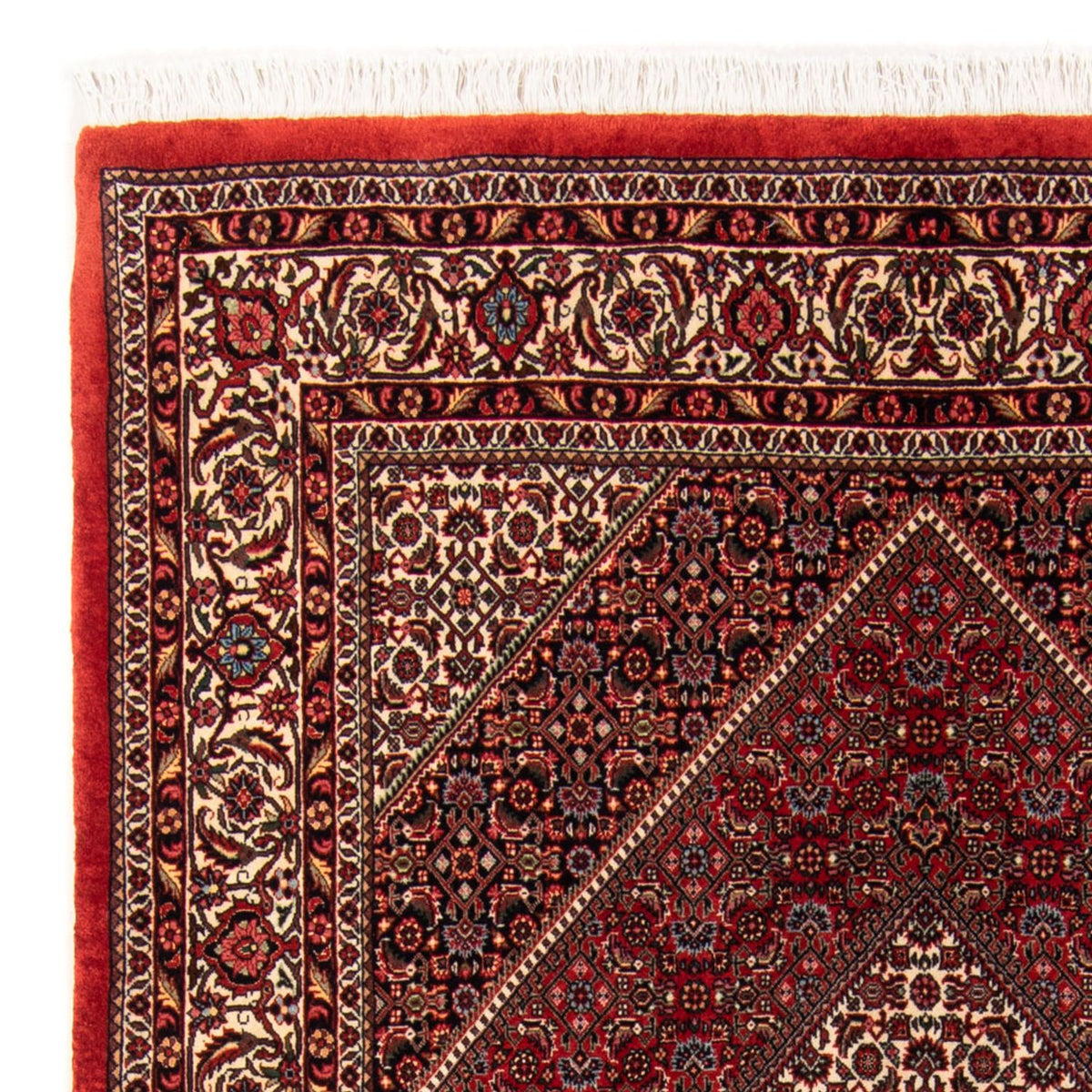 Bidjar - Takab Tapis 144x224cm - Tapis persan