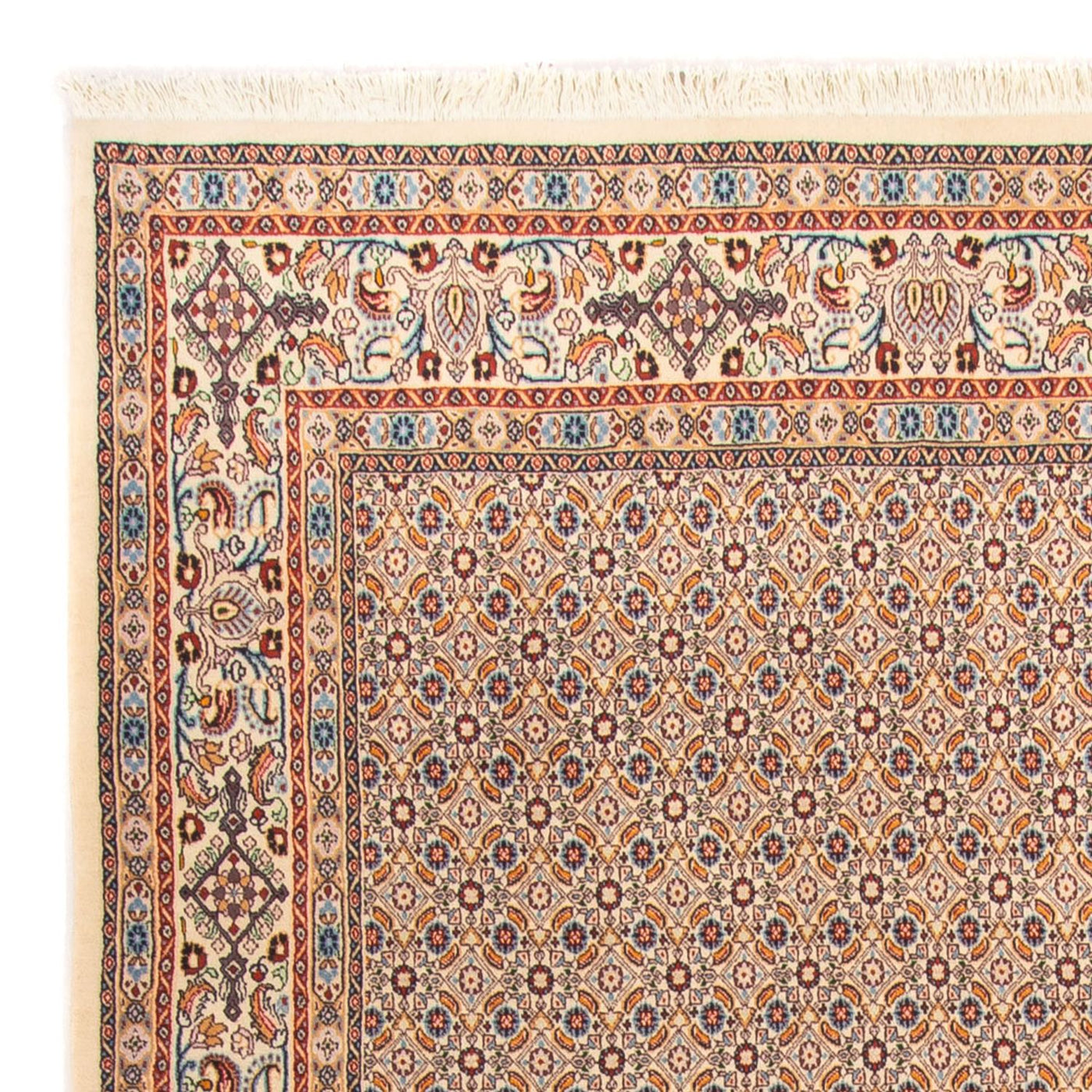 Tapis de Moud Tapis 245x205cm - Tapis persan