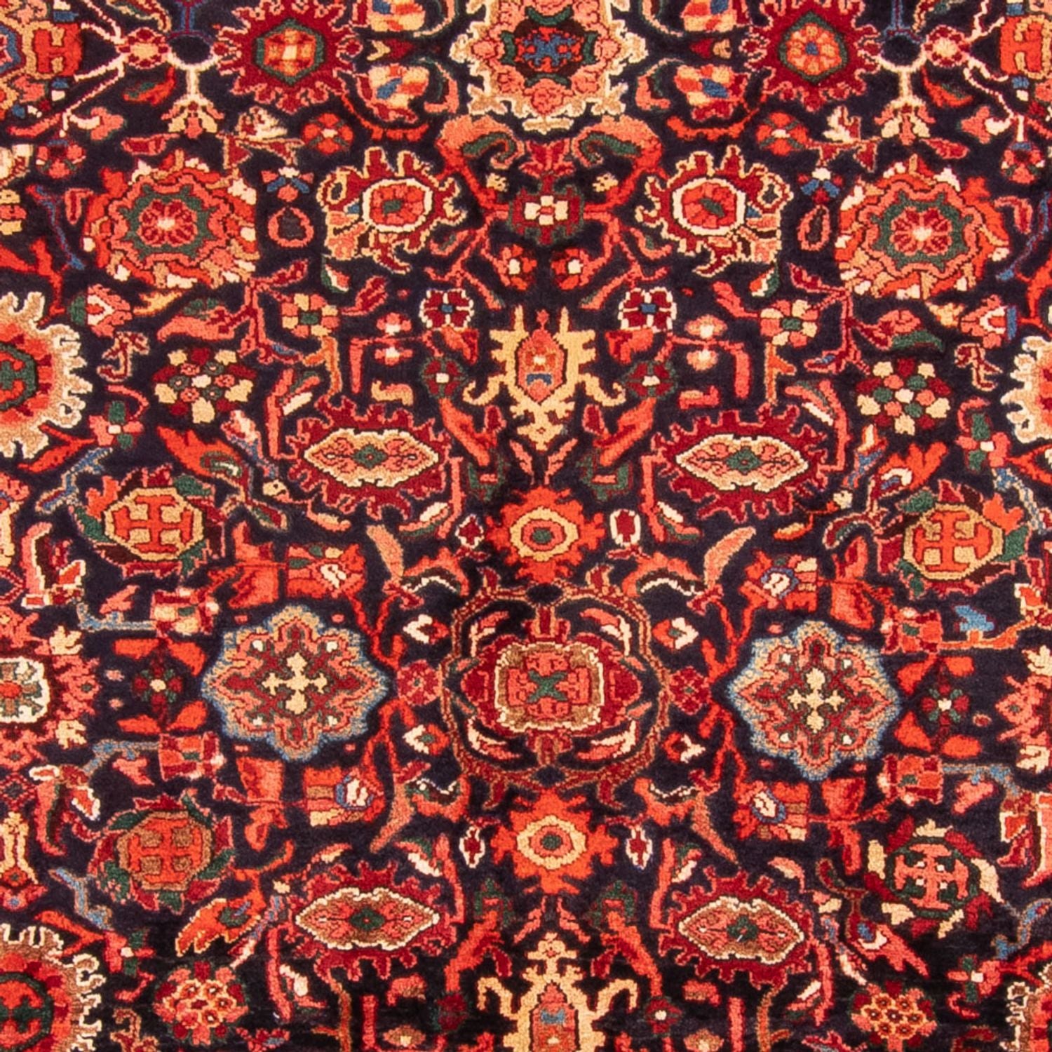 Tapis persan - Nomadic - 323 x 220 cm - bleu foncé