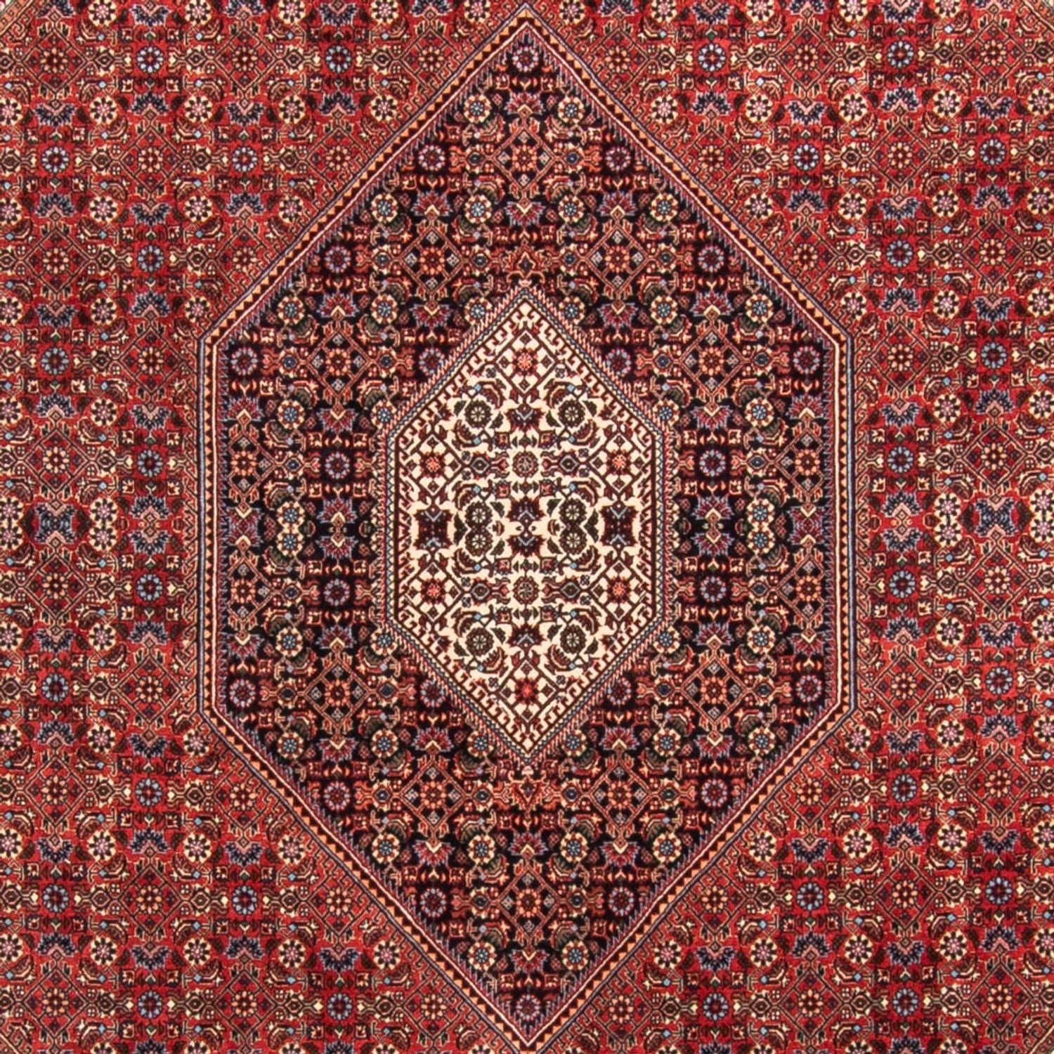 Tapis persan - Bidjar - 310 x 205 cm - rouge
