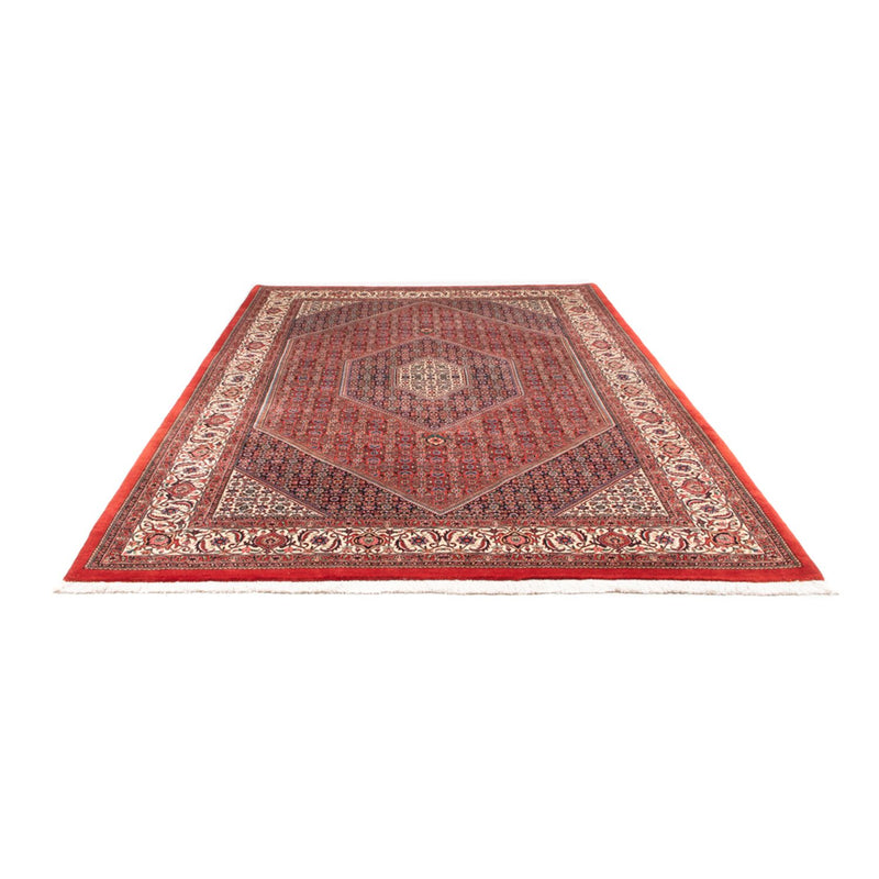 Tapis persan - Bidjar - 310 x 205 cm - rouge