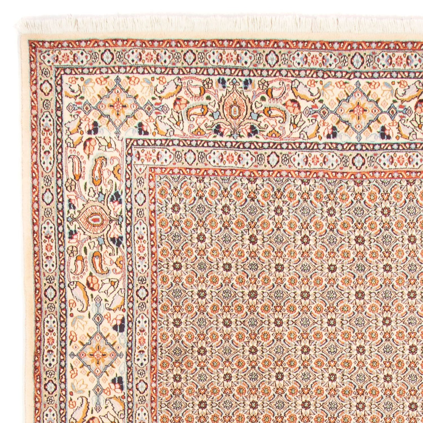 Tapis de Moud Tapis 287x195cm - Tapis persan