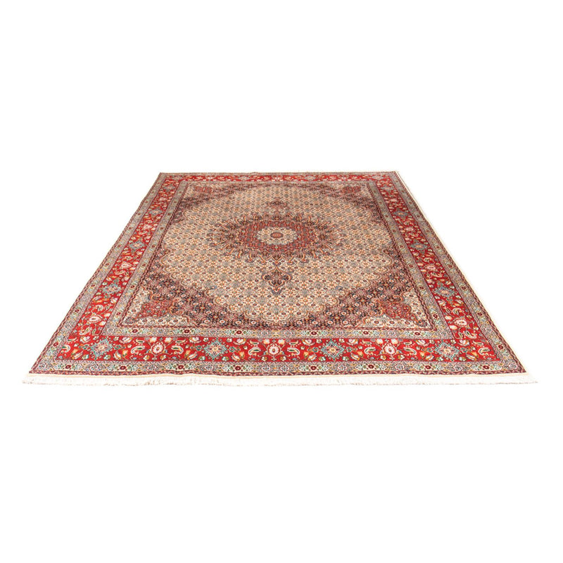 Tapis persan - Classique - 299 x 198 cm - beige