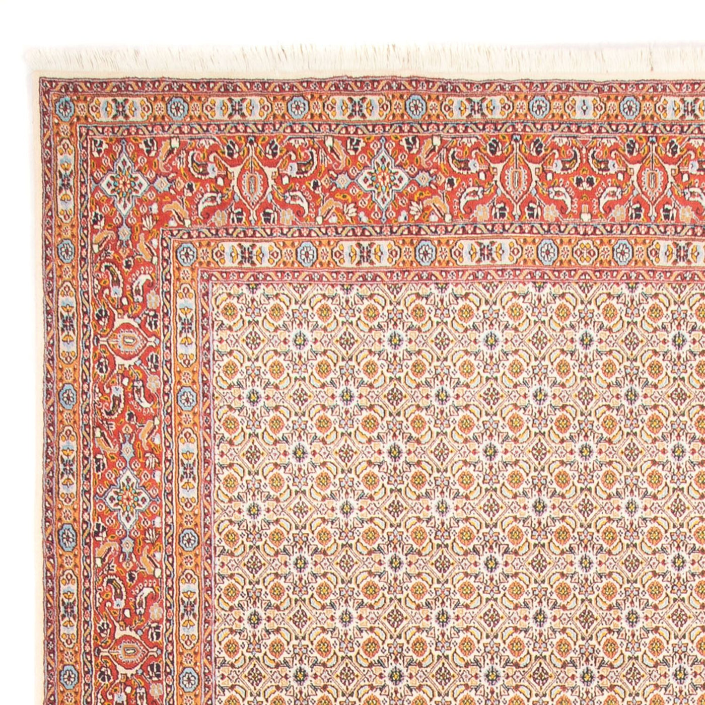 Tapis de Moud Tapis 307x195cm - Tapis persan