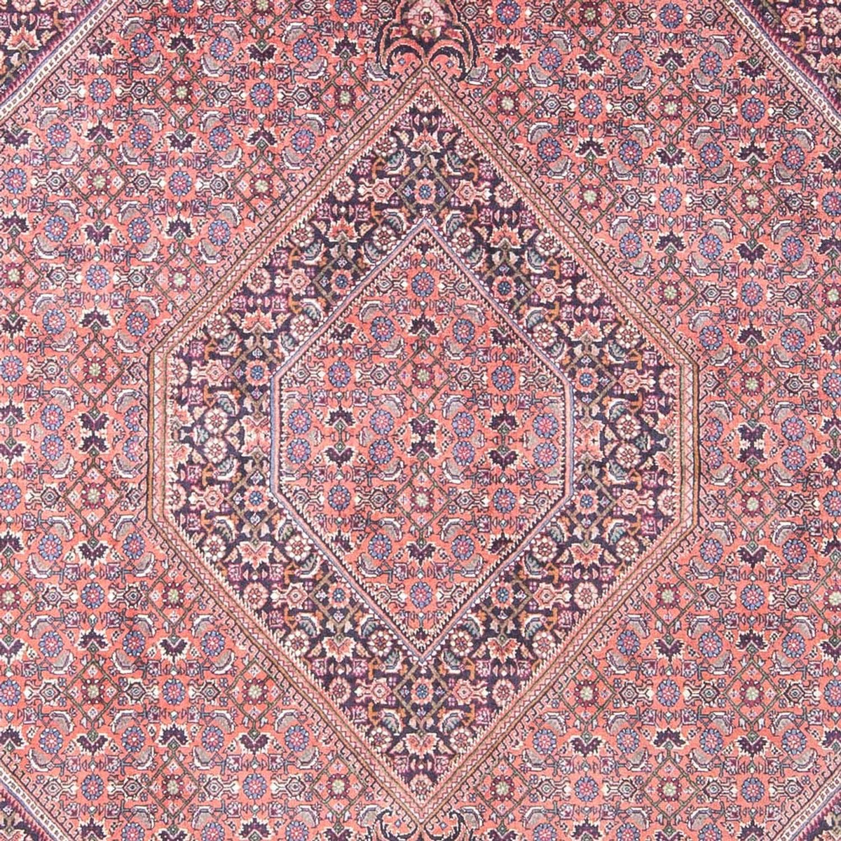 Tapis persan - Bidjar - 240 x 145 cm - rouge clair