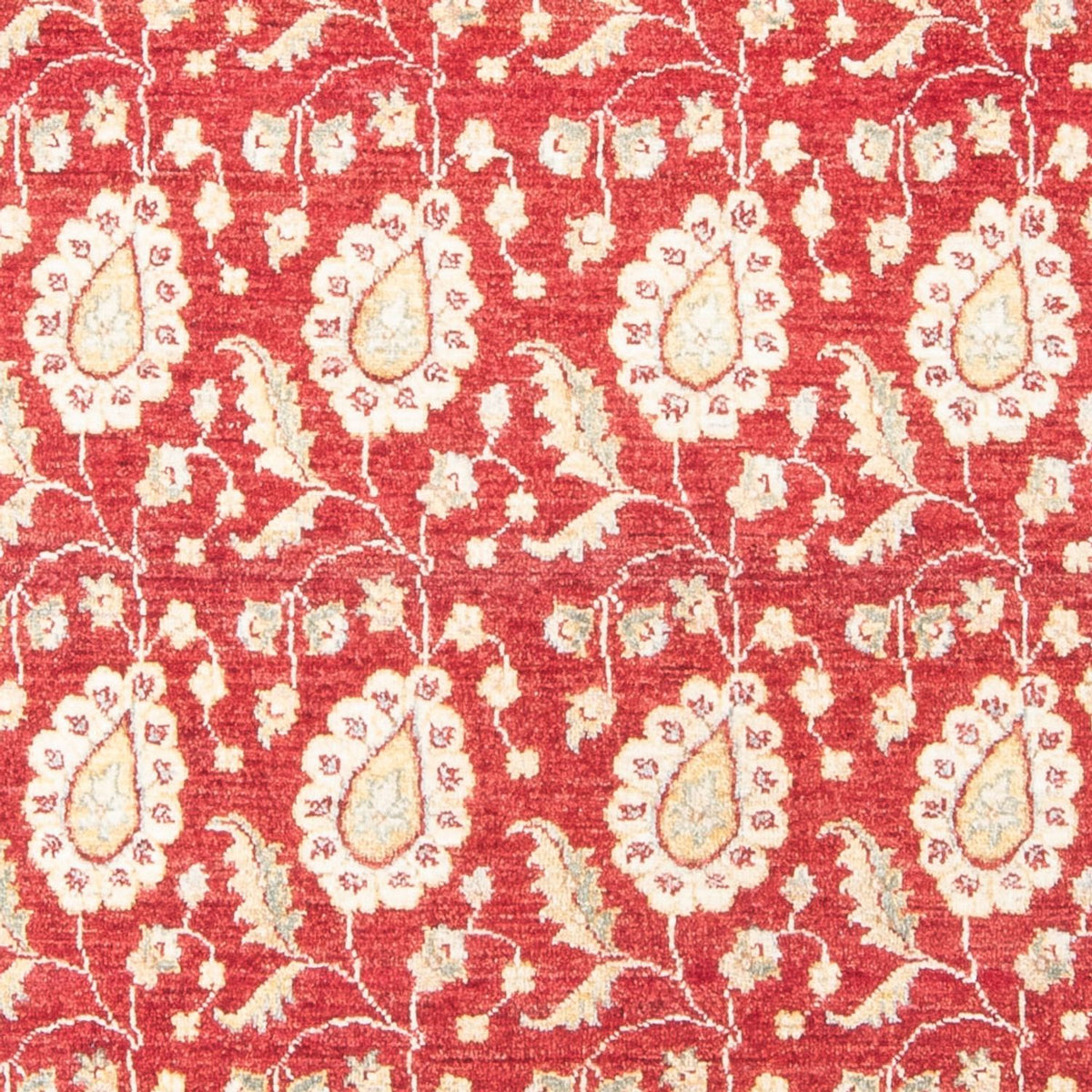 Tapis Ziegler 121x174cm - Tapis oriental