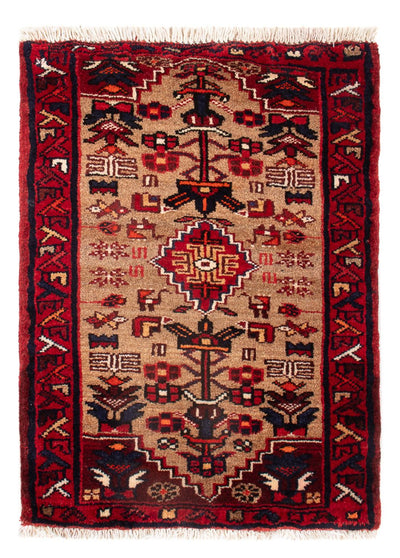 Malayer Tapis 50x66cm - Tapis persan