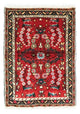 Tapis de Hamadan Tapis 70x50cm - Tapis persan