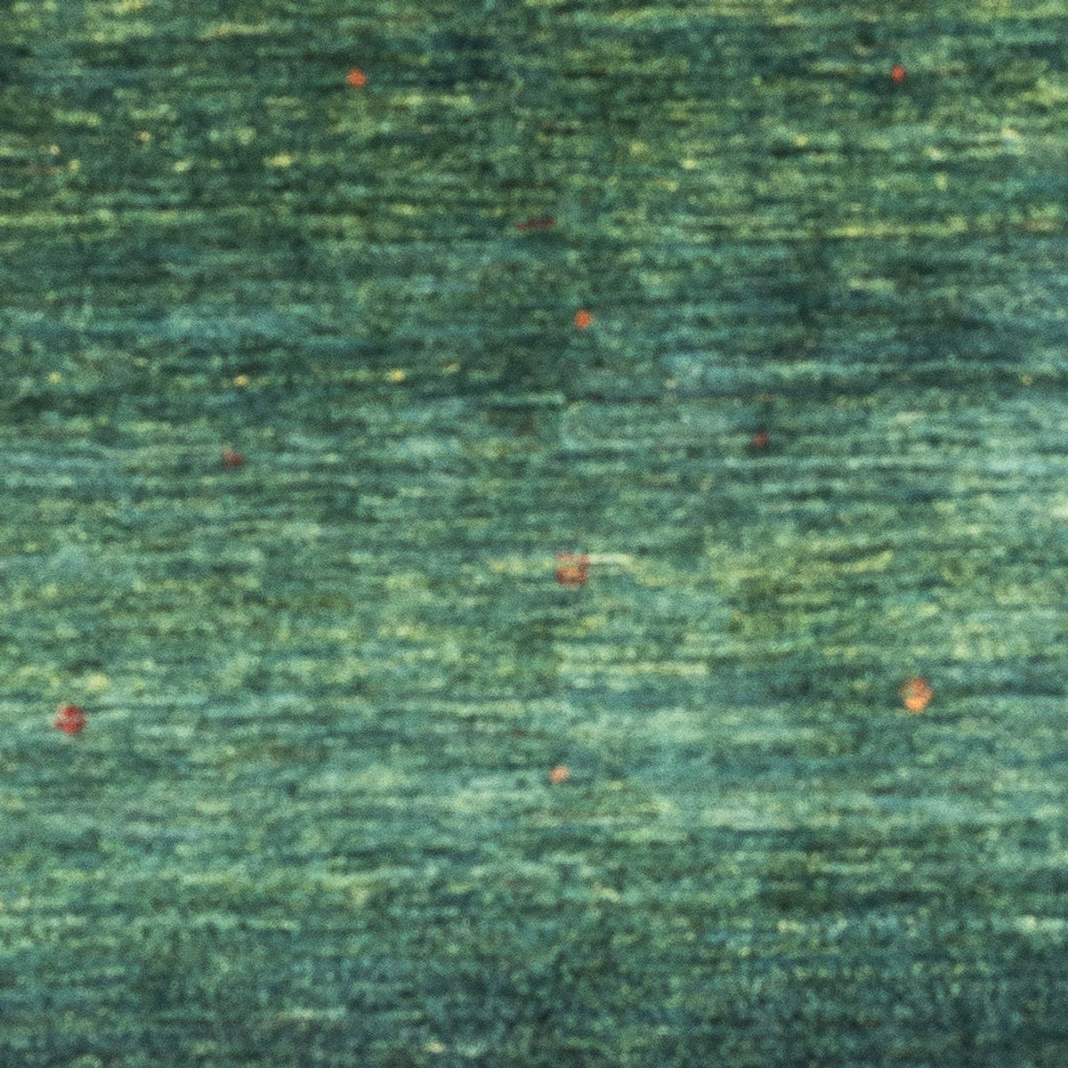 Tapis Gabbeh - Loribaft Persan - 153 x 103 cm - vert