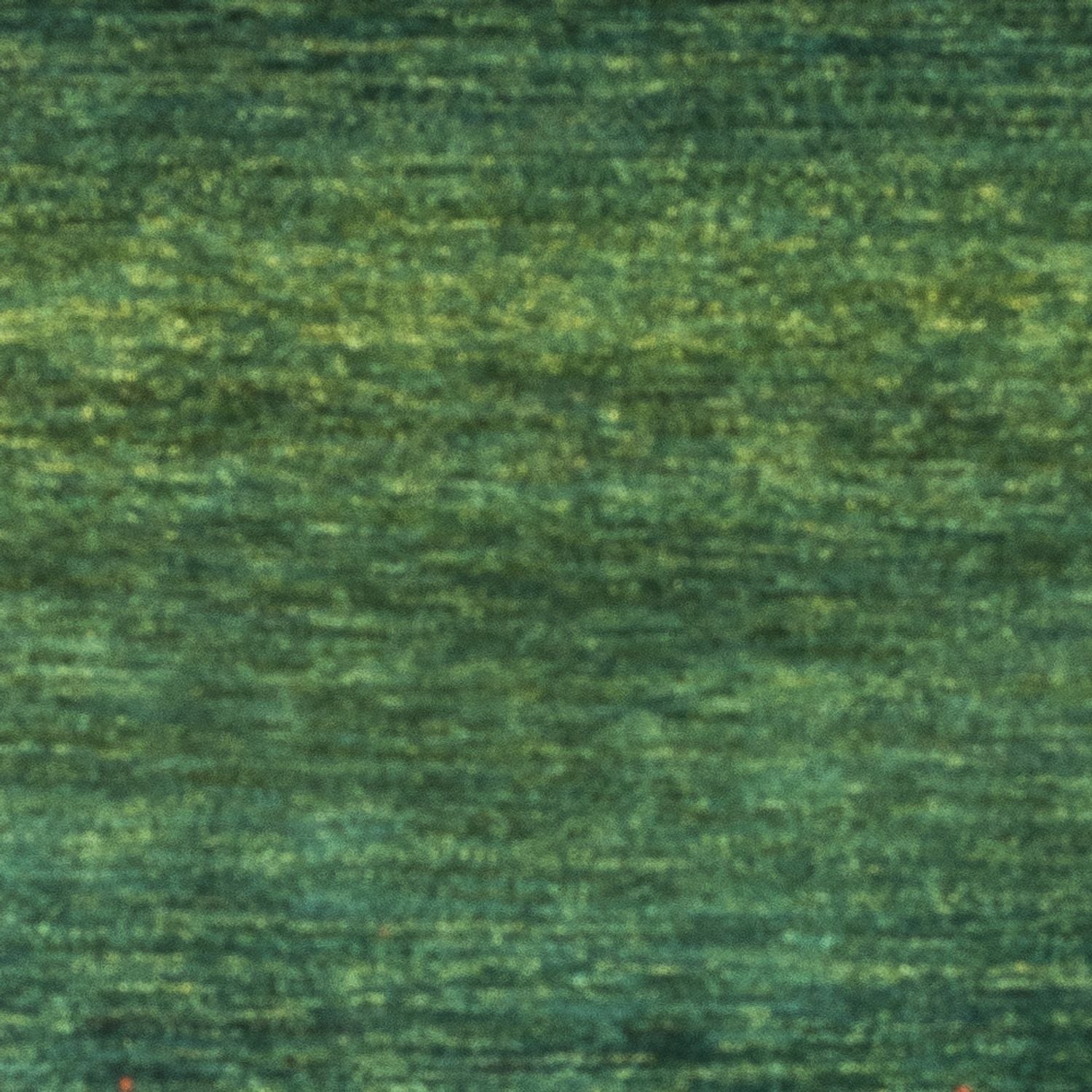 Tapis Gabbeh - Loribaft Persan - 148 x 97 cm - vert