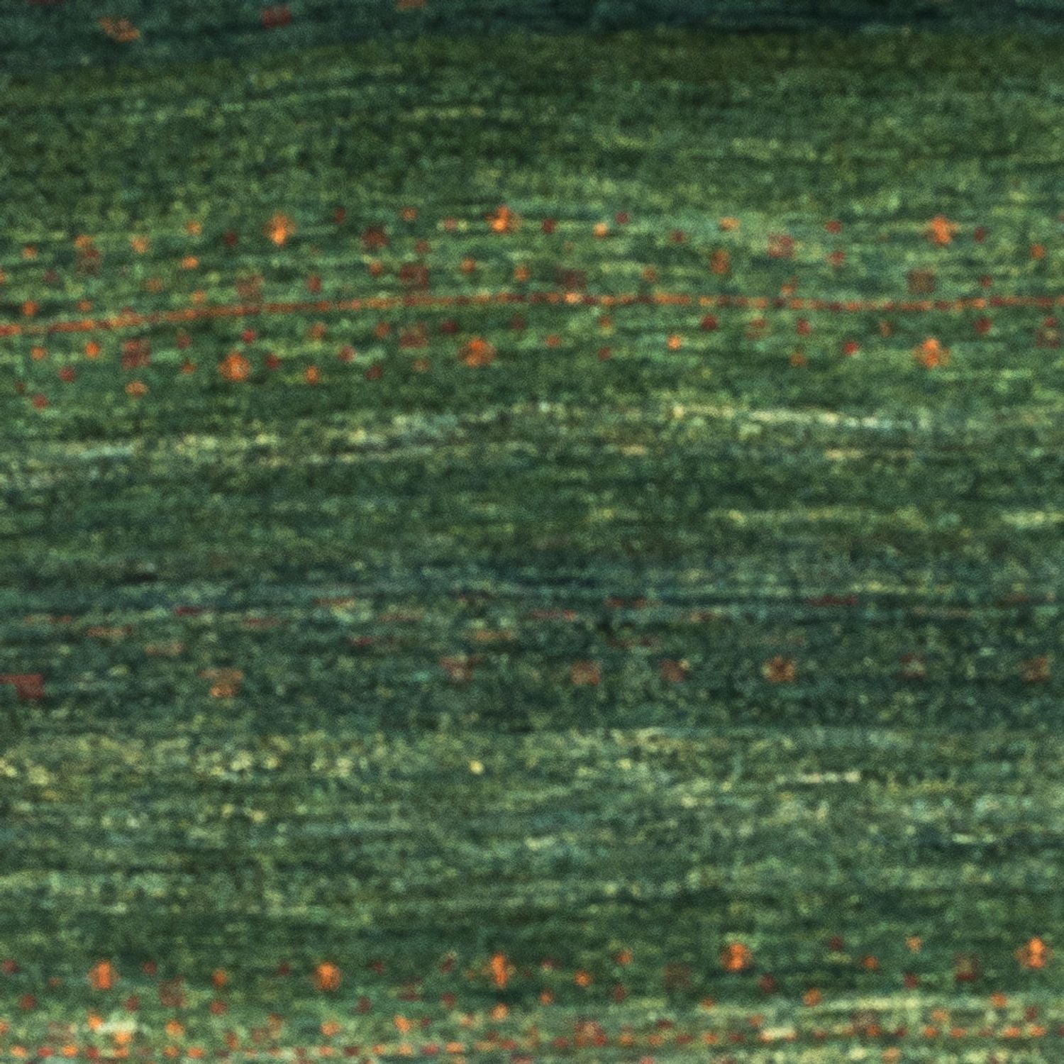 Tapis Gabbeh - Loribaft Persan - 162 x 91 cm - vert