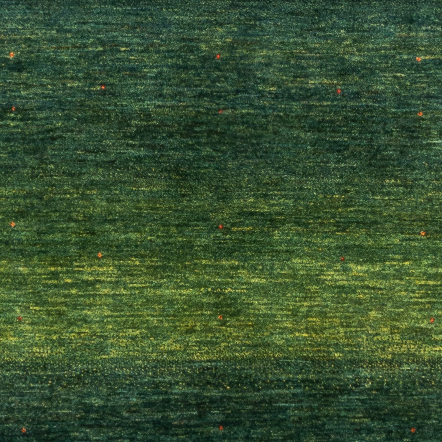 Tapis Gabbeh - Loribaft Persan - 228 x 175 cm - vert