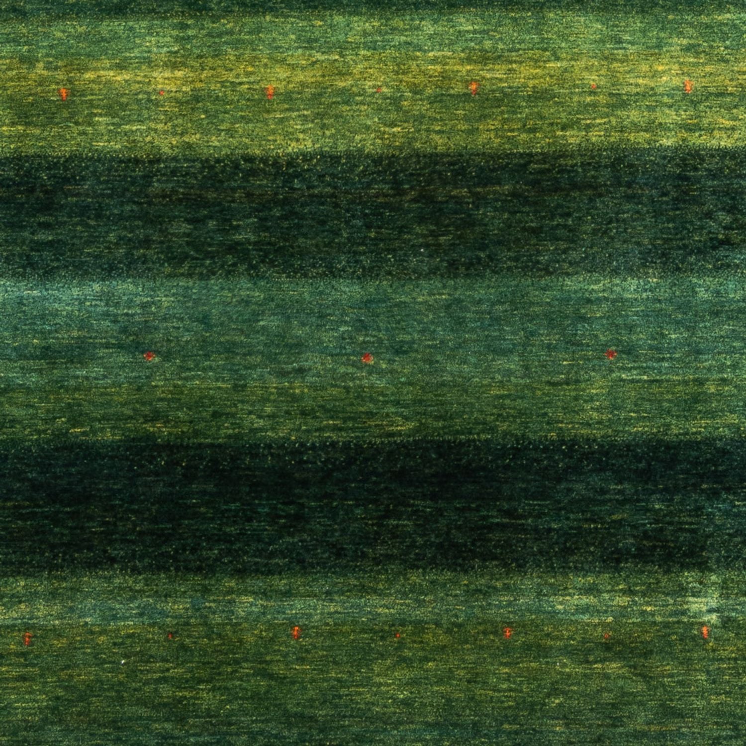 Tapis Gabbeh - Loribaft Persan - 309 x 226 cm - vert