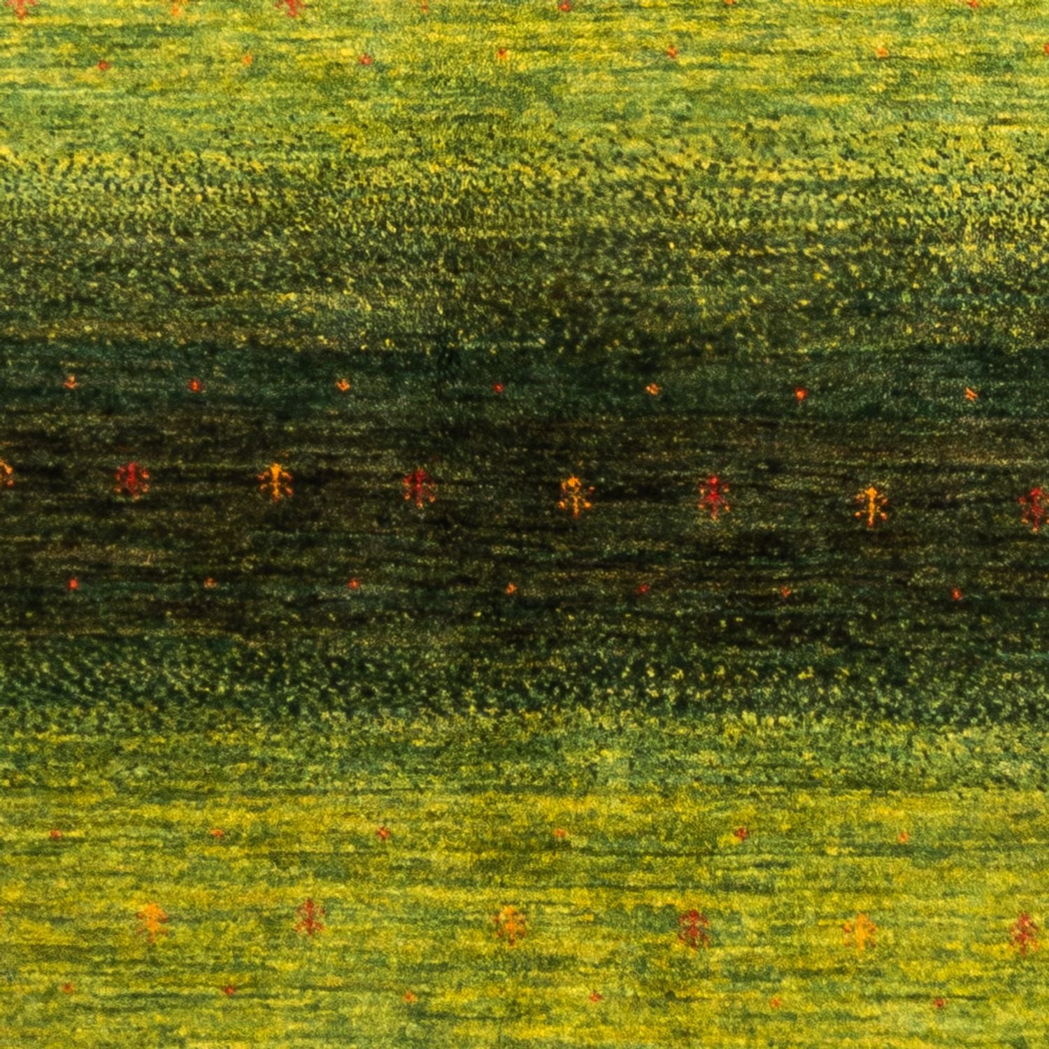 Tapis Gabbeh - Loribaft Persan - 236 x 166 cm - vert