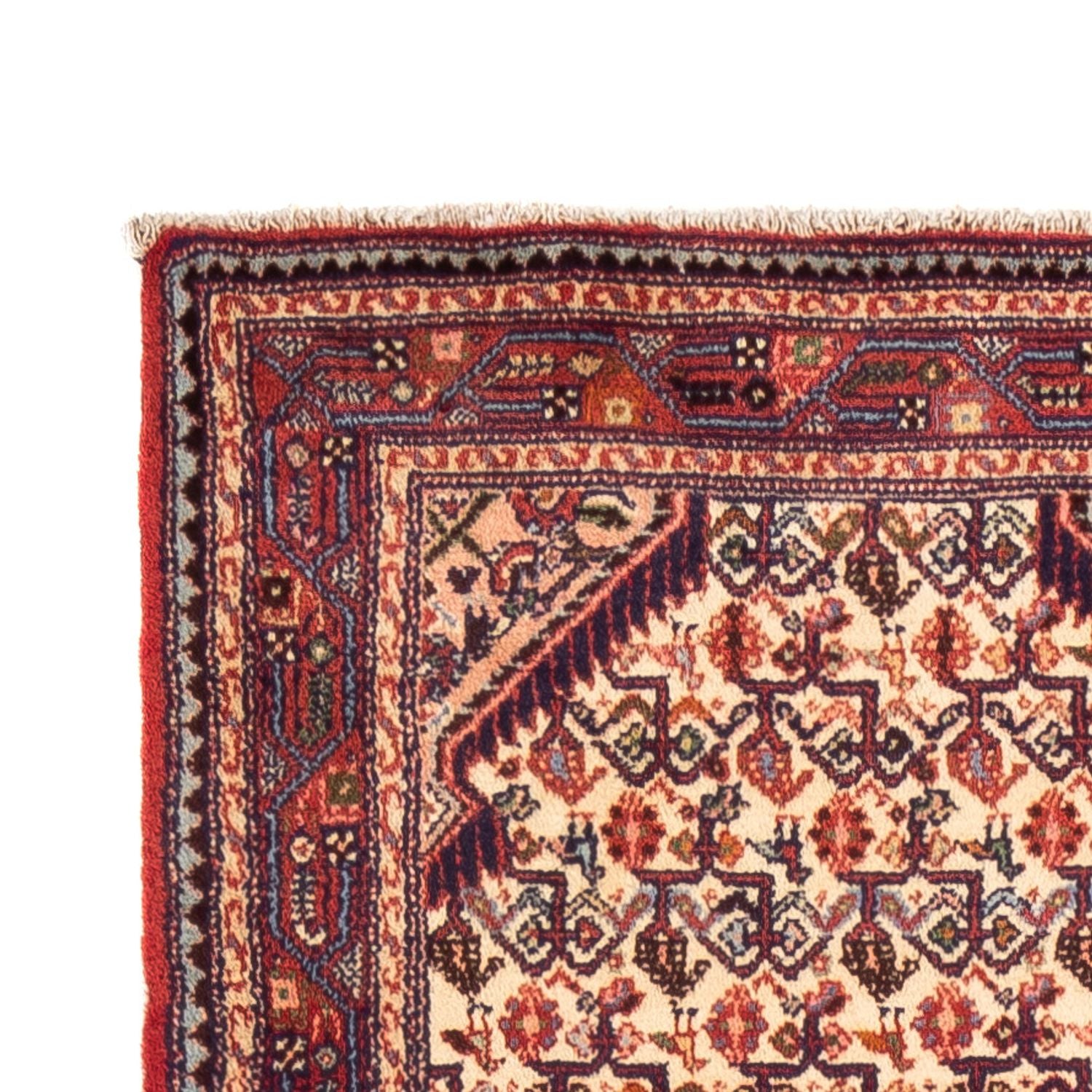 Tapis de couloir Tapis persan - Nomadic - 305 x 80 cm - beige
