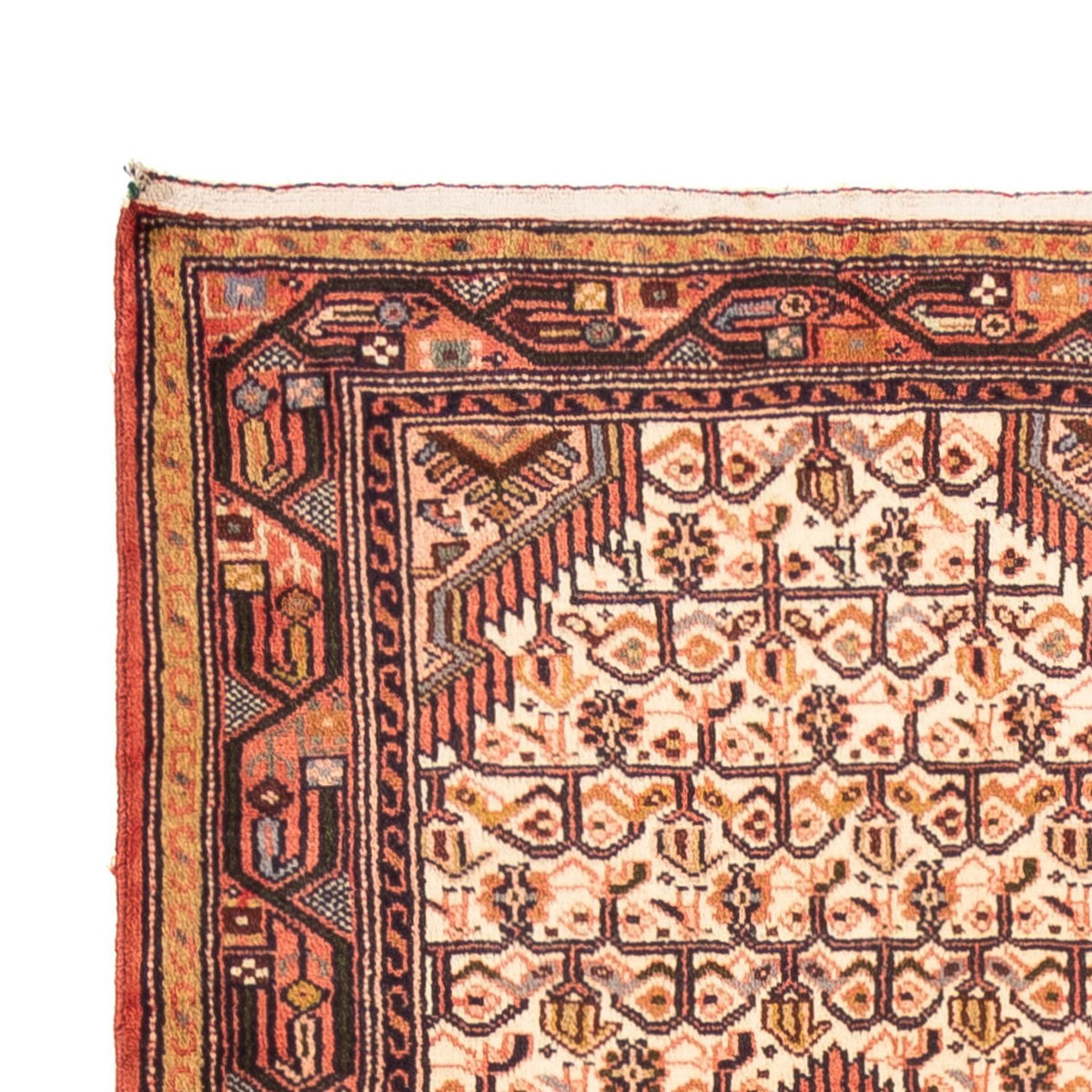 Tapis de couloir Tapis persan - Nomadic - 290 x 83 cm - crème