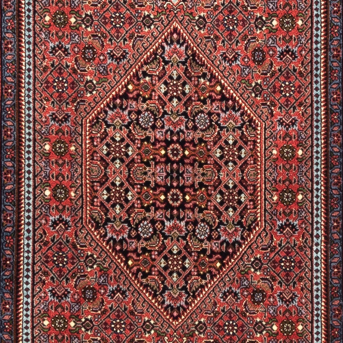 Tapis de couloir Tapis persan - Bidjar - 230 x 74 cm - rouge