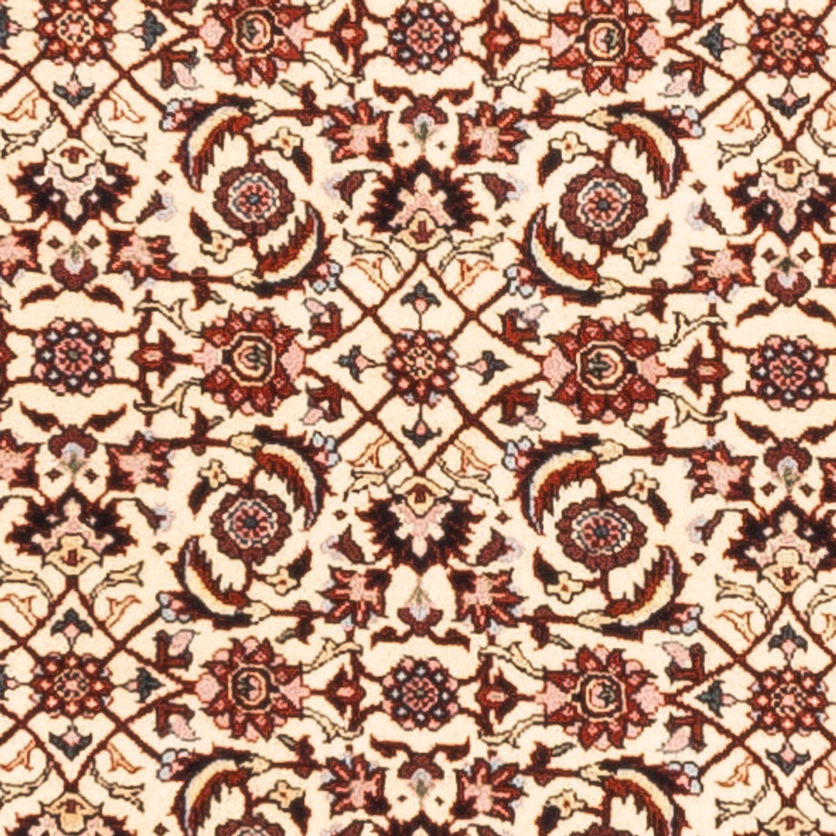 Tapis de couloir Tapis persan - Bidjar - 300 x 80 cm - crème