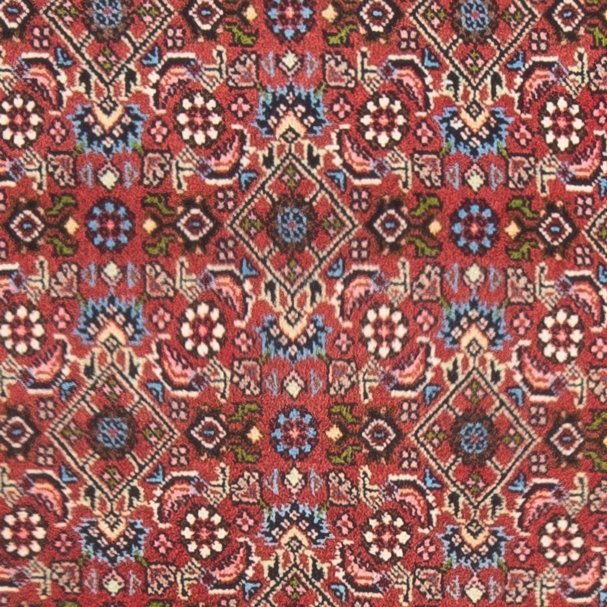 Tapis persan - Bidjar - 143 x 81 cm - rouge
