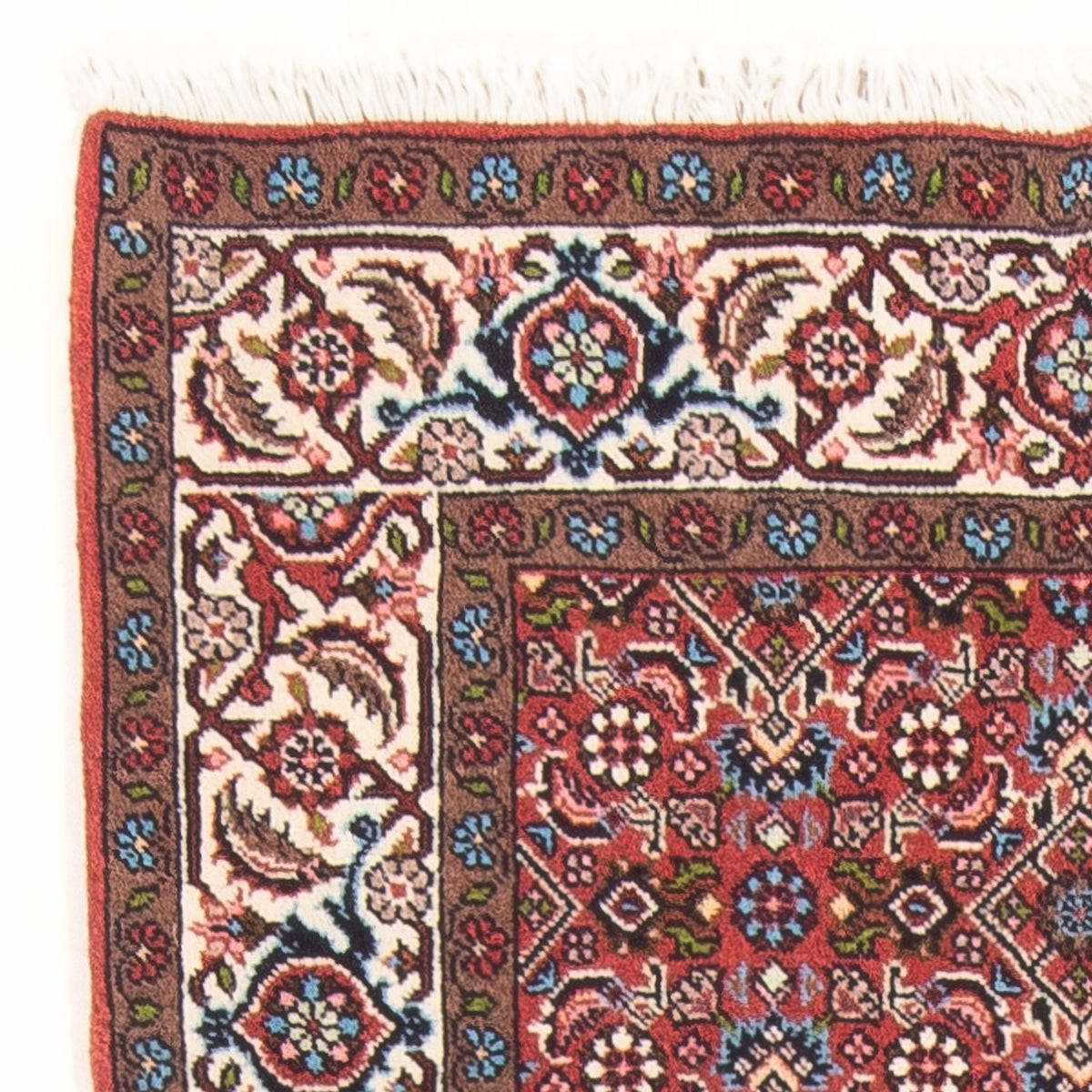 Bidjar - Bukan Tapis 81x143cm - Tapis persan - rouge