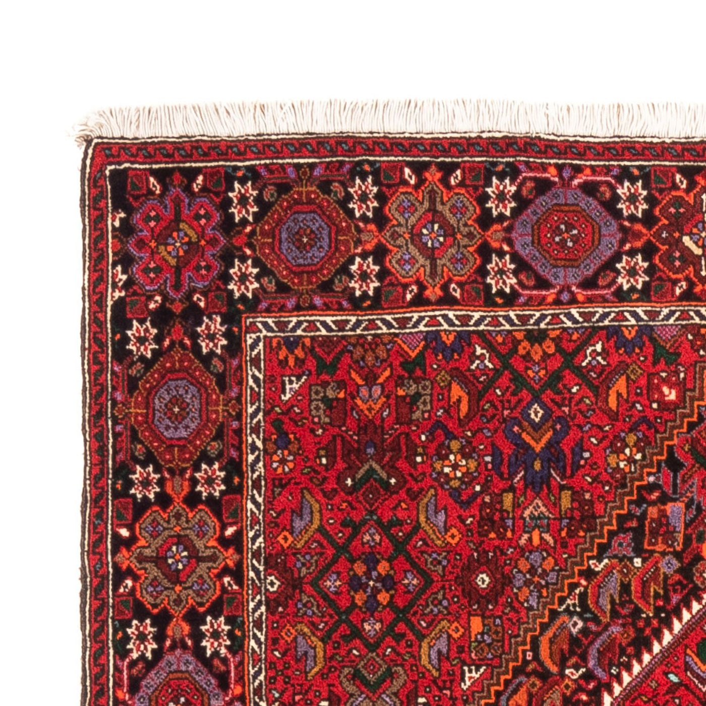 Tapis de Gholtogh Tapis 150x105cm - Tapis persan