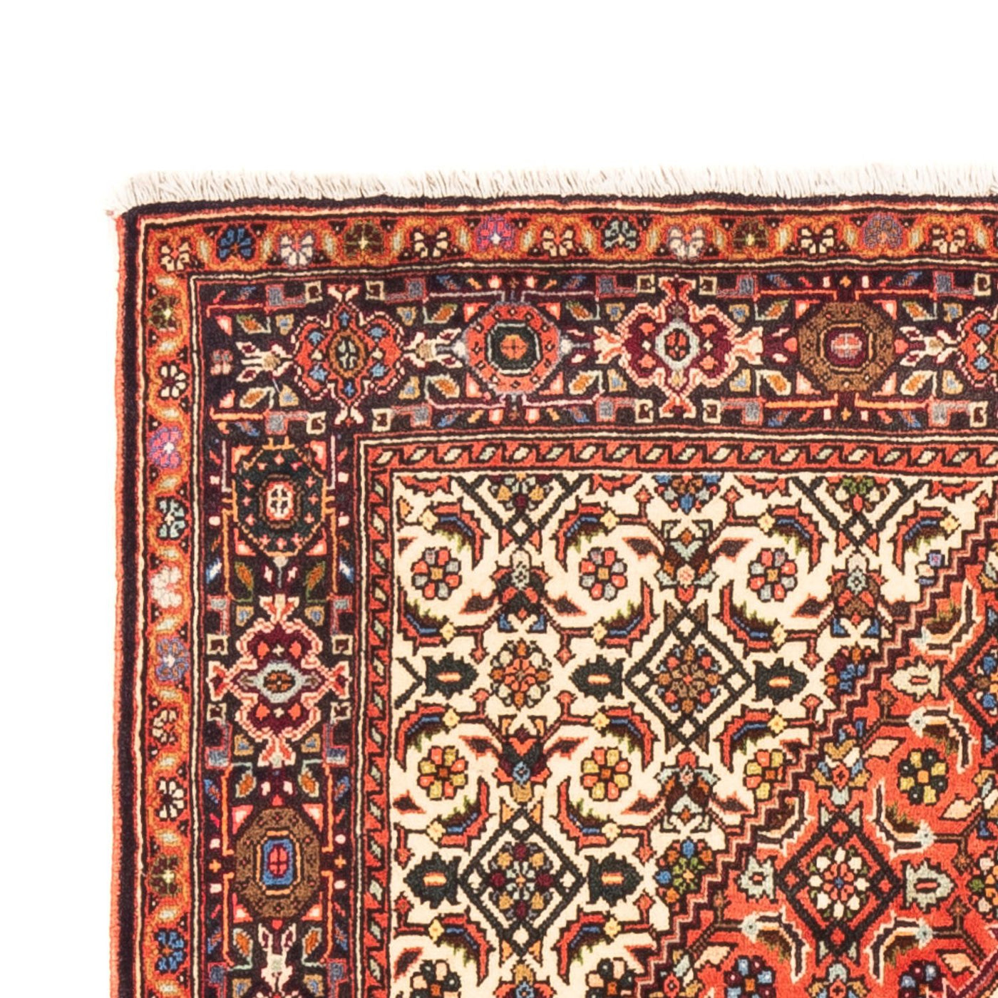 Tapis de Gholtogh Tapis 151x102cm - Tapis persan