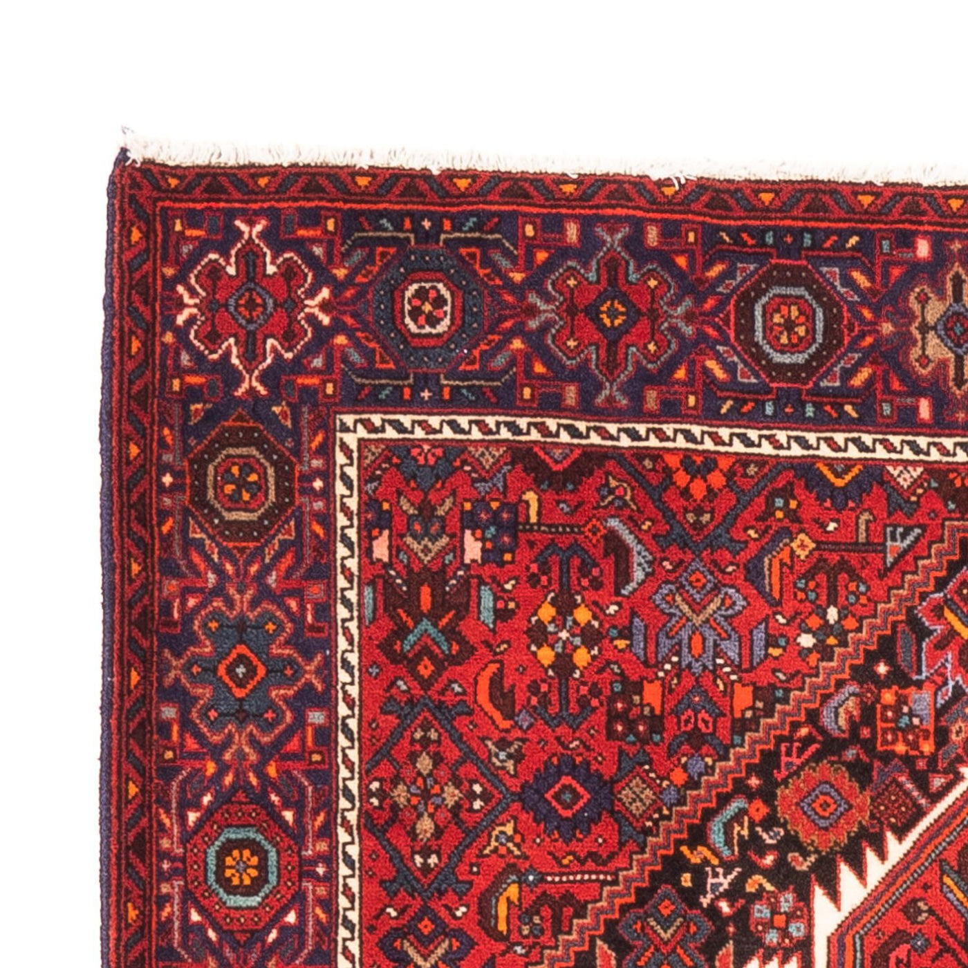 Tapis de Gholtogh Tapis 150x101cm - Tapis persan
