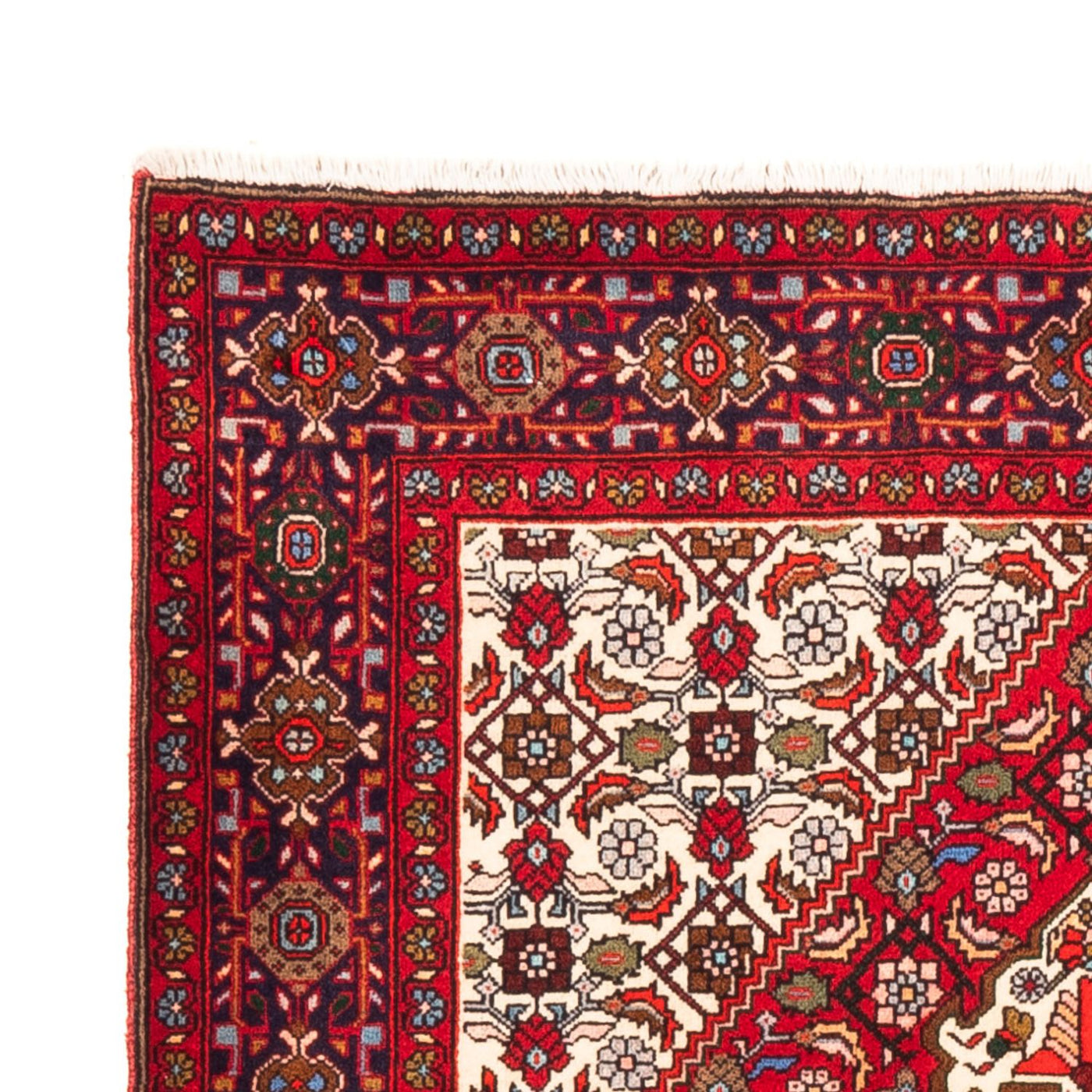 Tapis de Gholtogh Tapis 154x106cm - Tapis persan