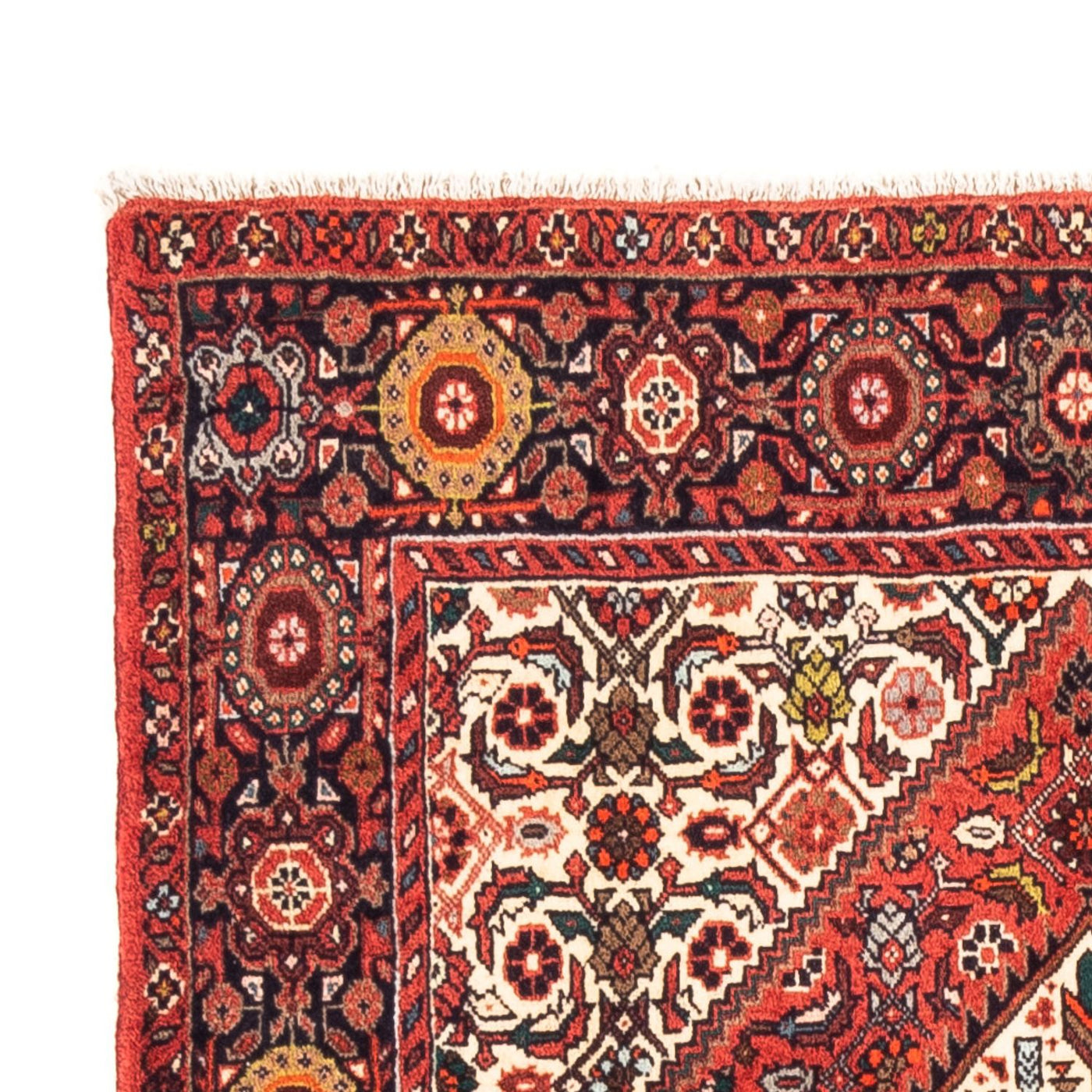 Tapis de Gholtogh Tapis 159x105cm - Tapis persan
