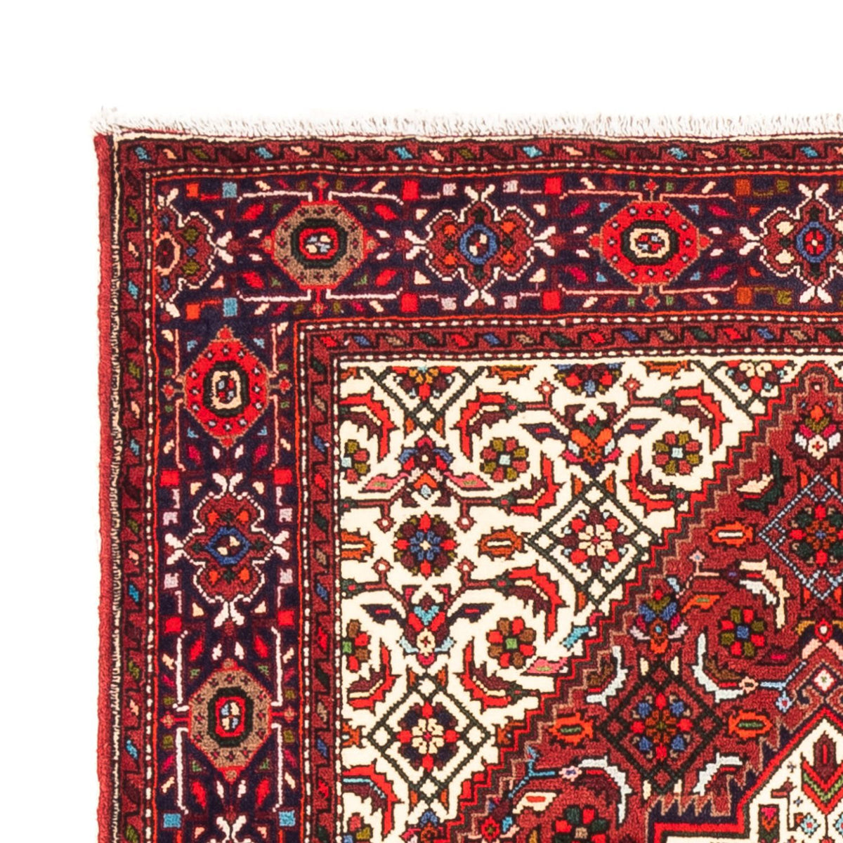 Tapis de Gholtogh Tapis 97x147cm - Tapis persan