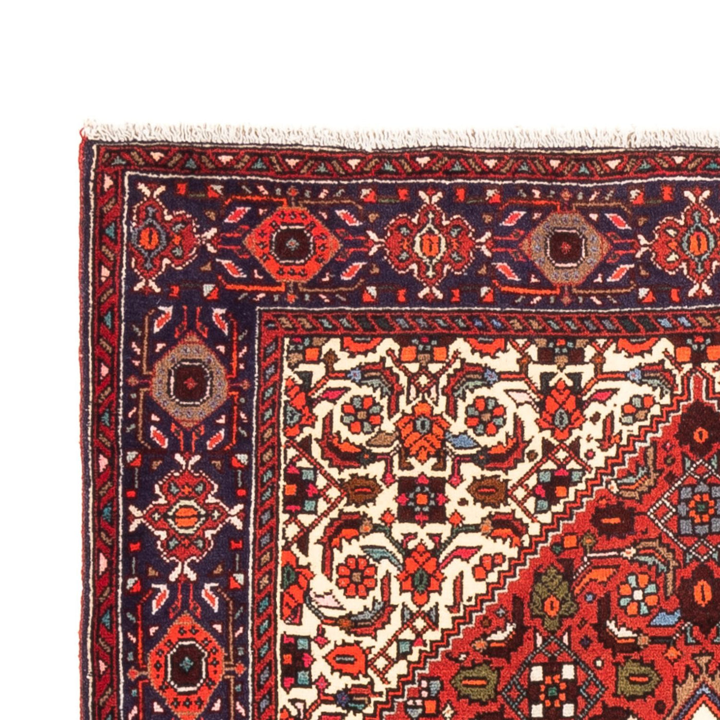 Tapis de Gholtogh Tapis 160x100cm - Tapis persan