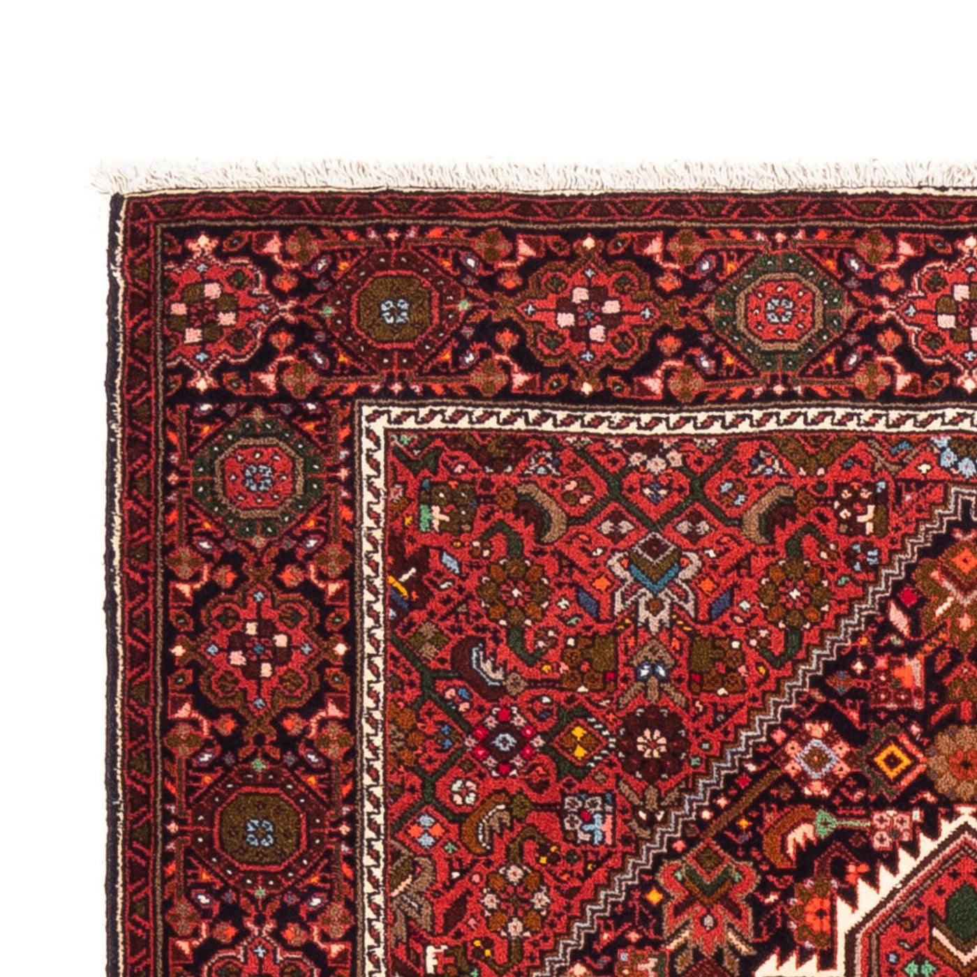 Tapis de Gholtogh Tapis 155x103cm - Tapis persan
