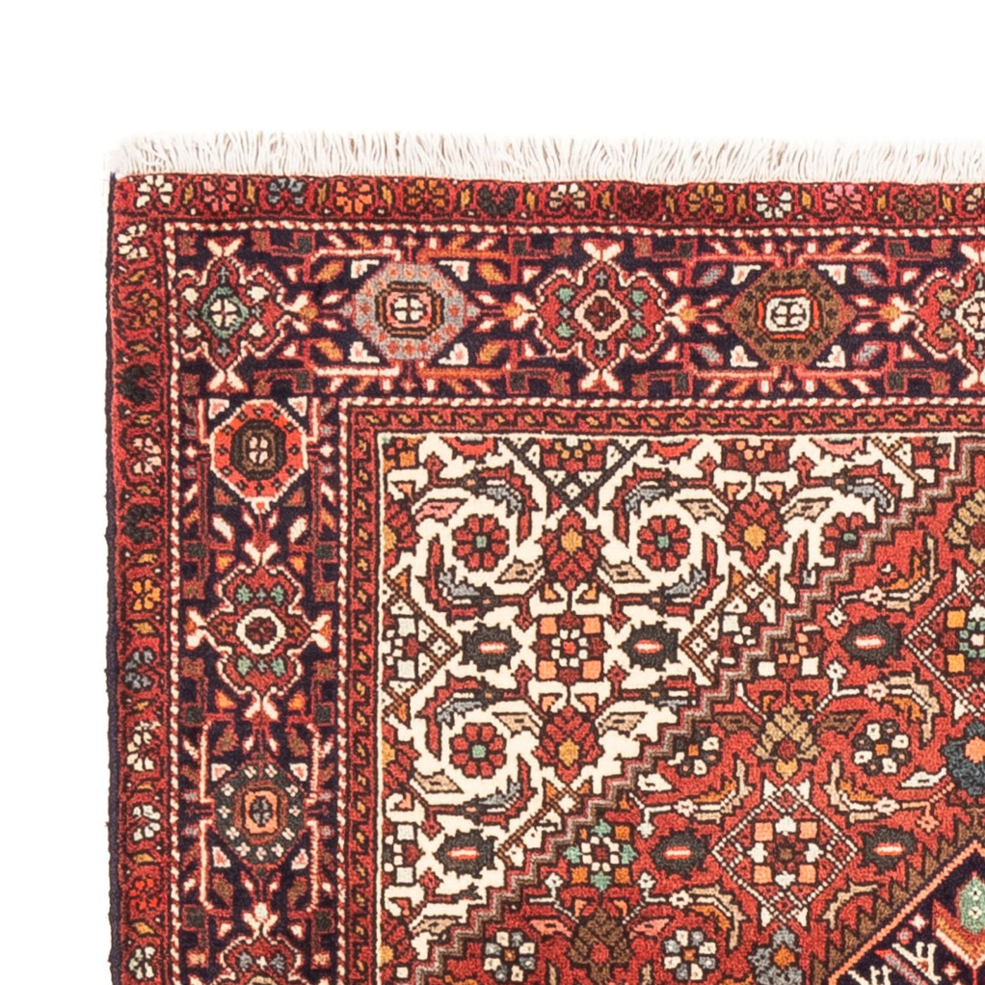 Tapis de Gholtogh Tapis 145x100cm - Tapis persan