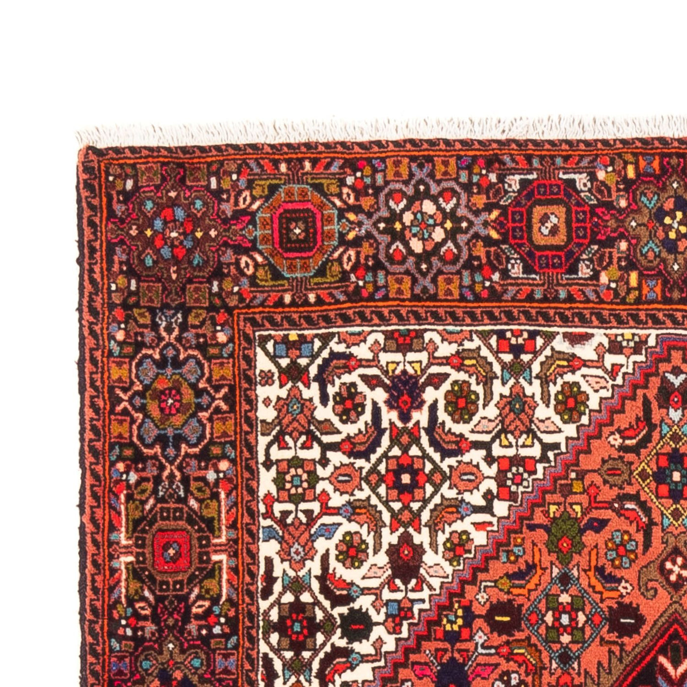 Tapis de Gholtogh Tapis 146x100cm - Tapis persan