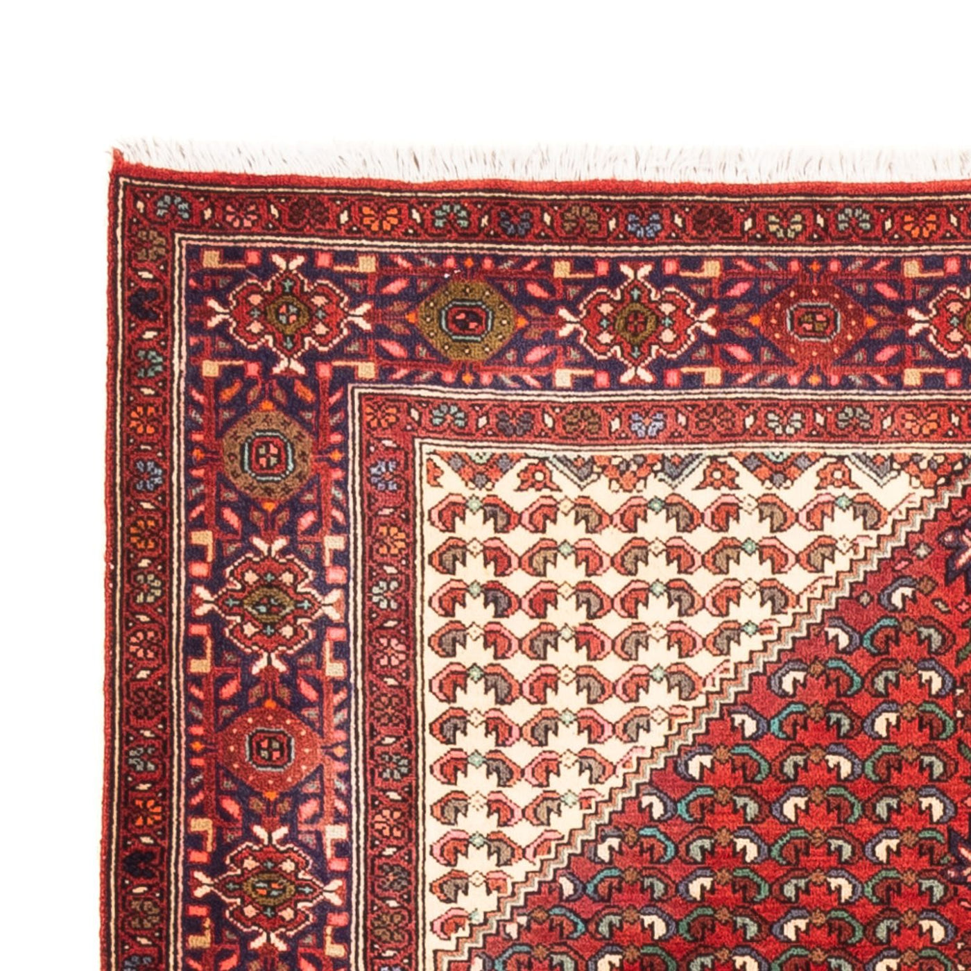 Tapis de Gholtogh Tapis 170x108cm - Tapis persan