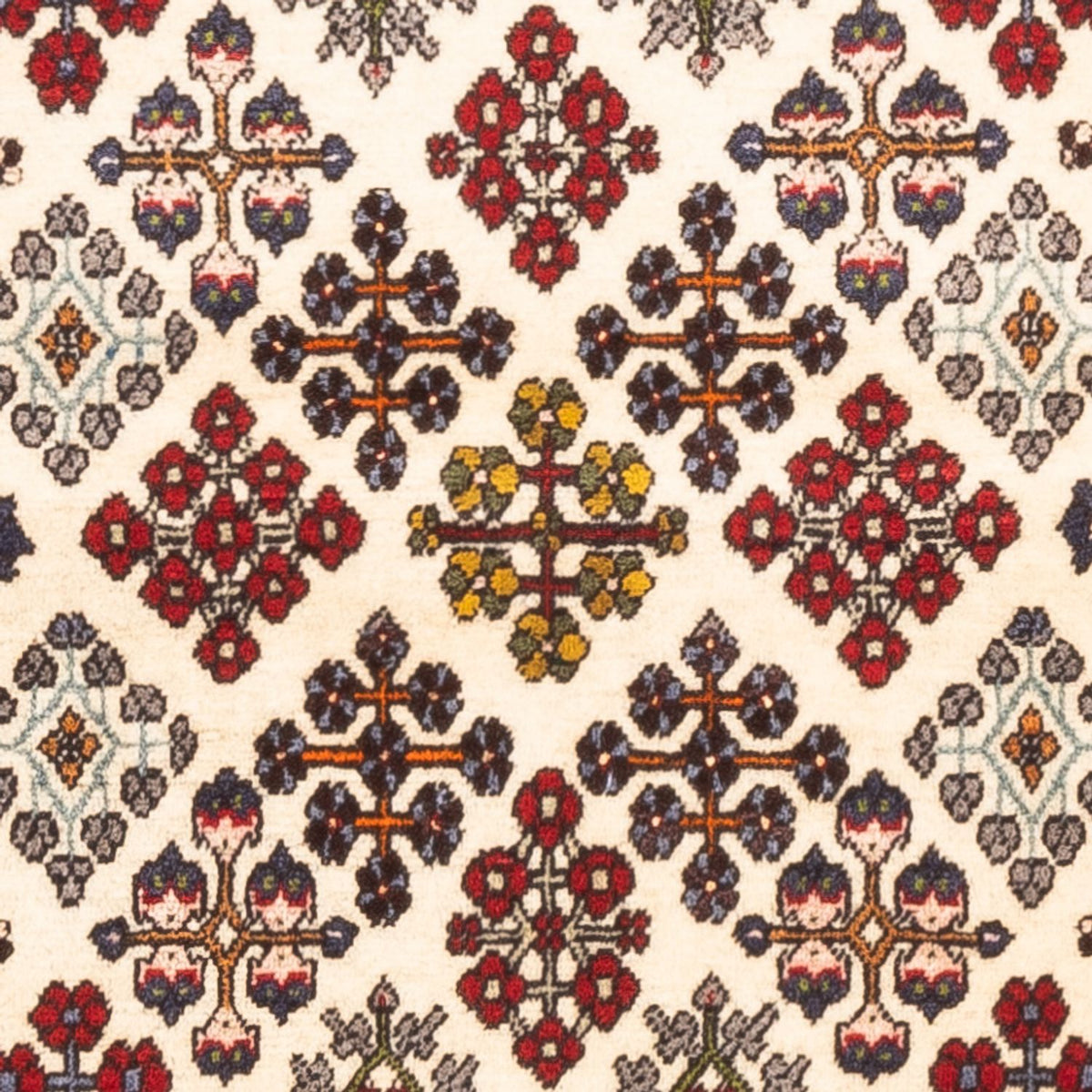 Tapis de couloir Tapis persan - Nomadic - 155 x 68 cm - crème